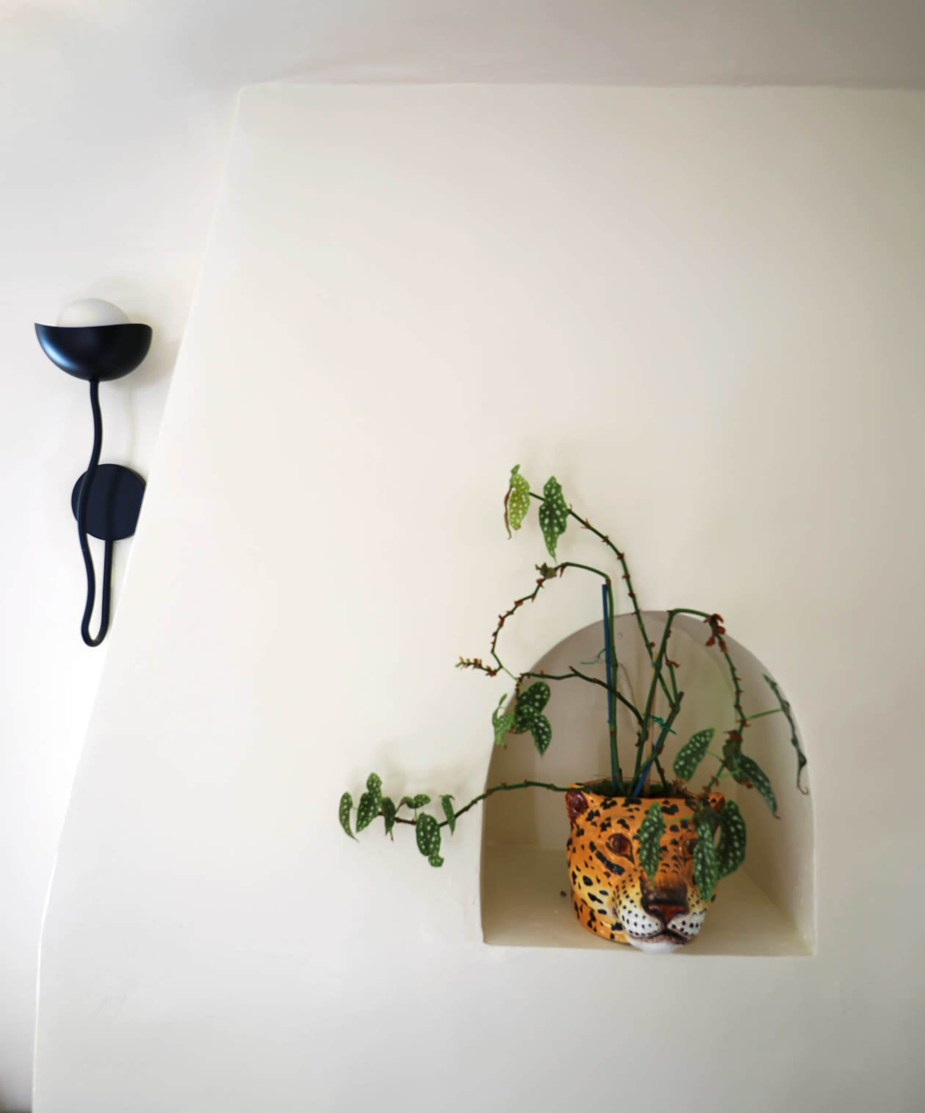 A leopard-print planter with plants is placed in a wall recess next to a modern wall sconce.