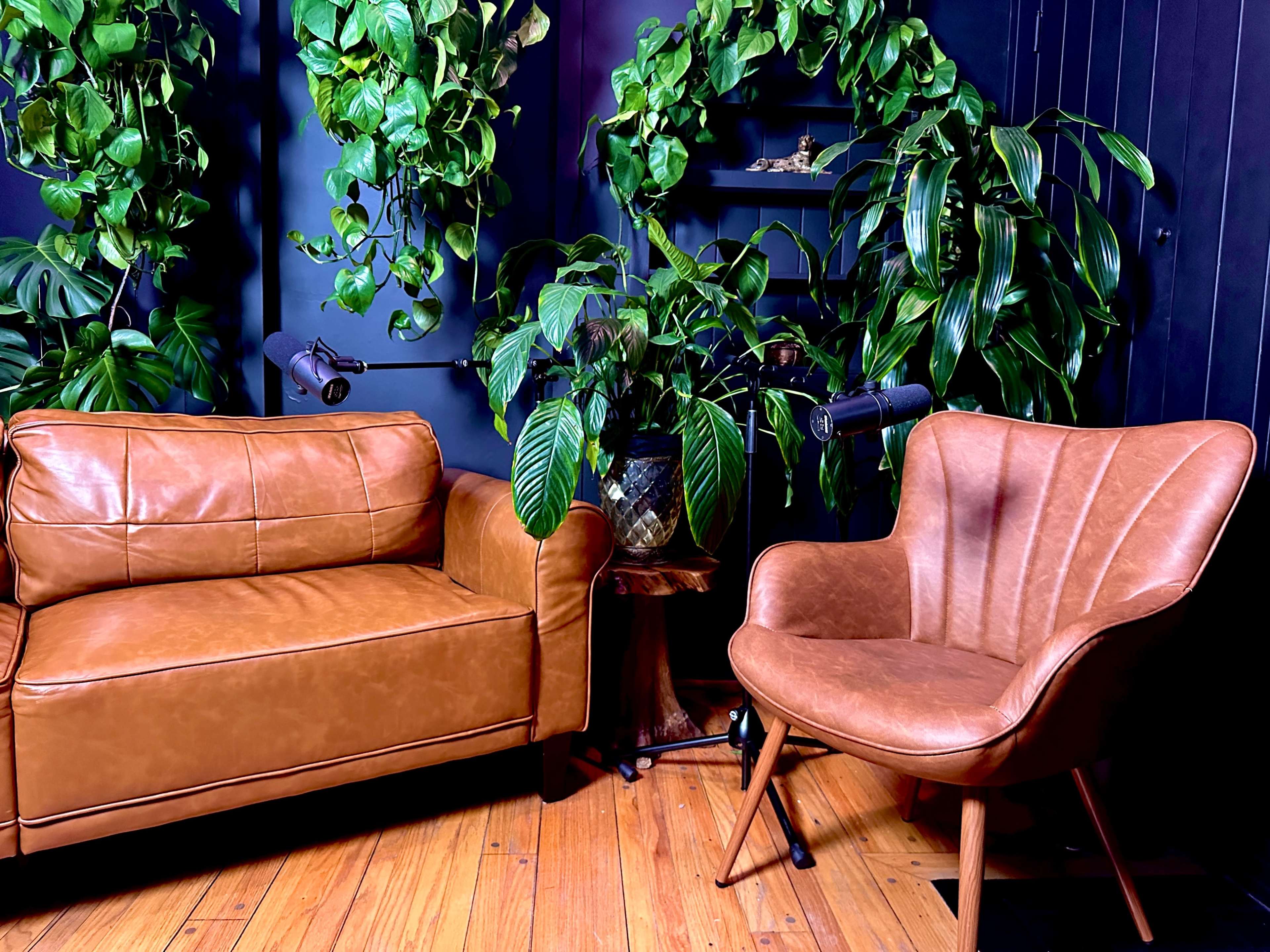 A brown leather couch and a curved chair are set against a backdrop of lush green plants and dark walls.