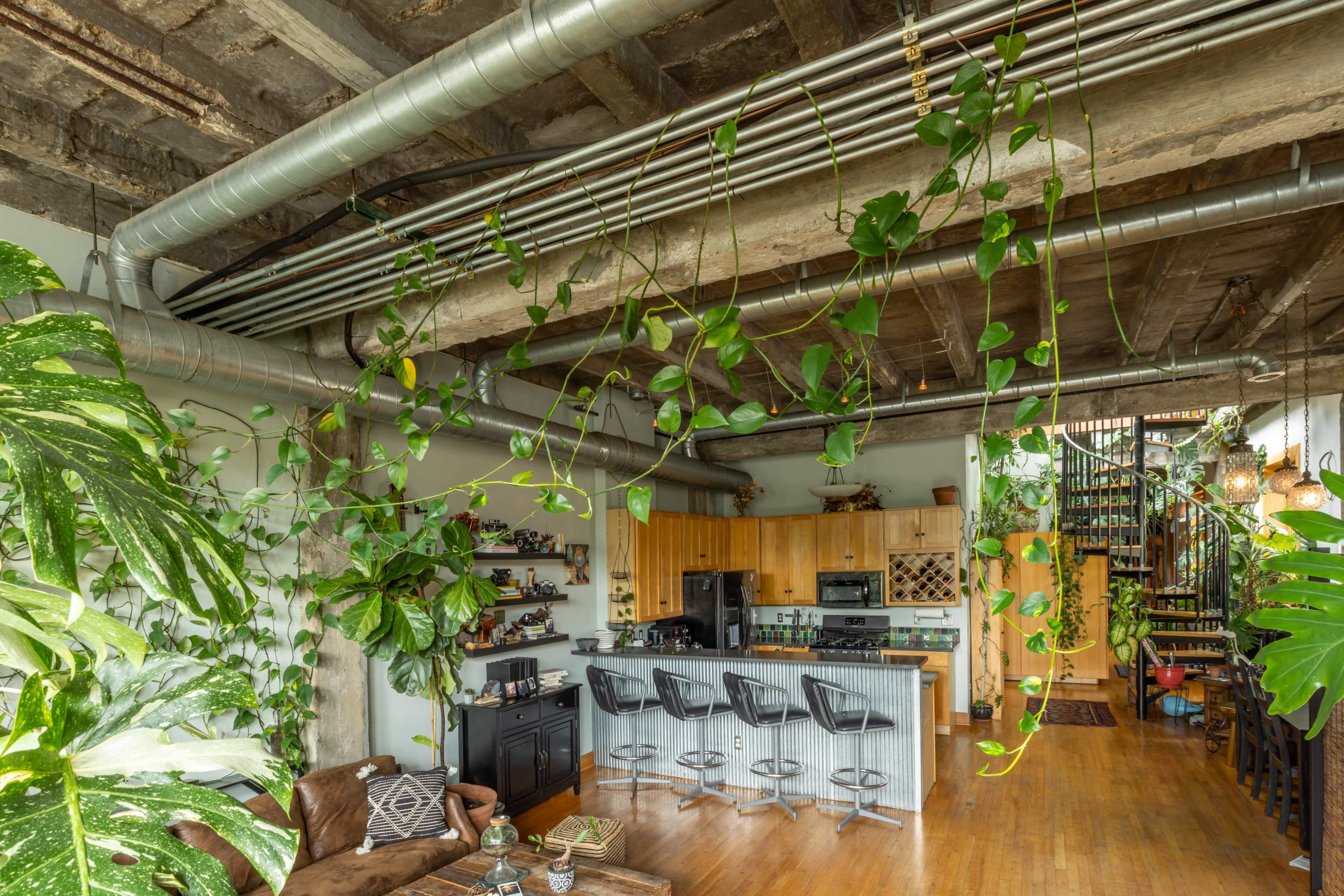 The image shows a spacious, loft-style living area with a kitchen, plants hanging from the ceiling, and a staircase leading to an upper level.