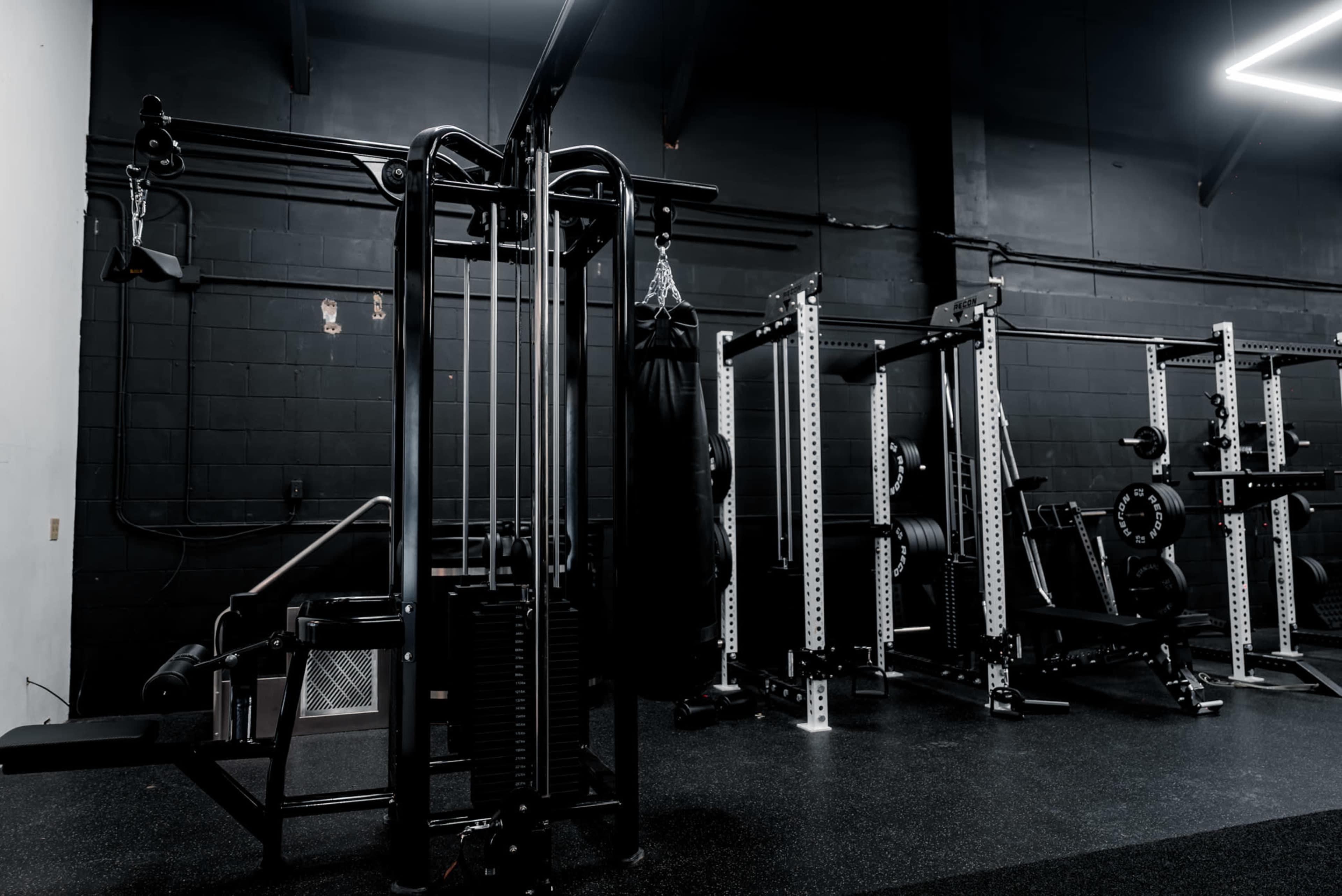 Modern Gym Aesthetic Image in Alyth/Bonnybrook, calgary, AB