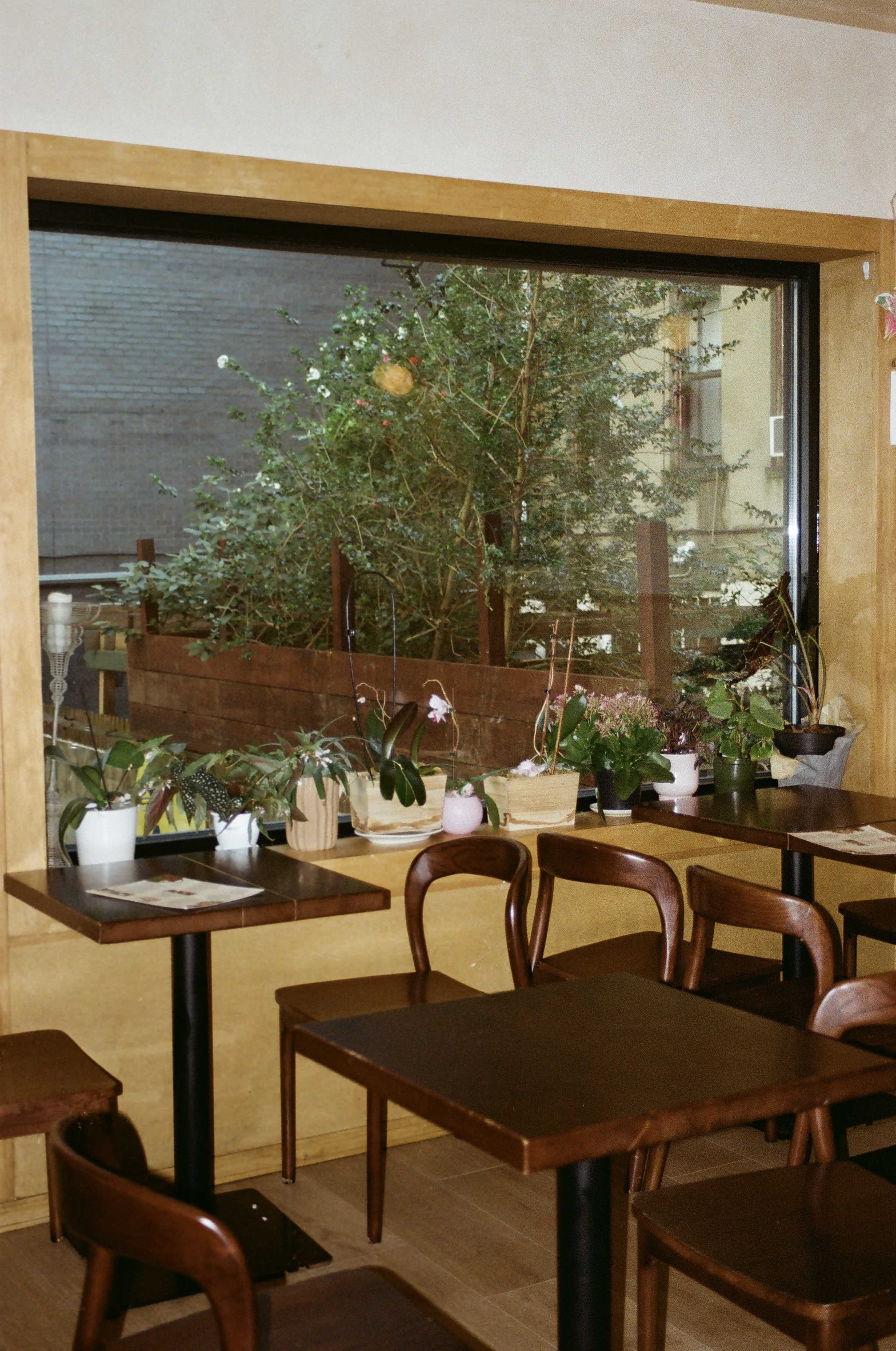 The image shows a cozy cafe with wooden tables and chairs, featuring a large window that overlooks a garden with various plants.
