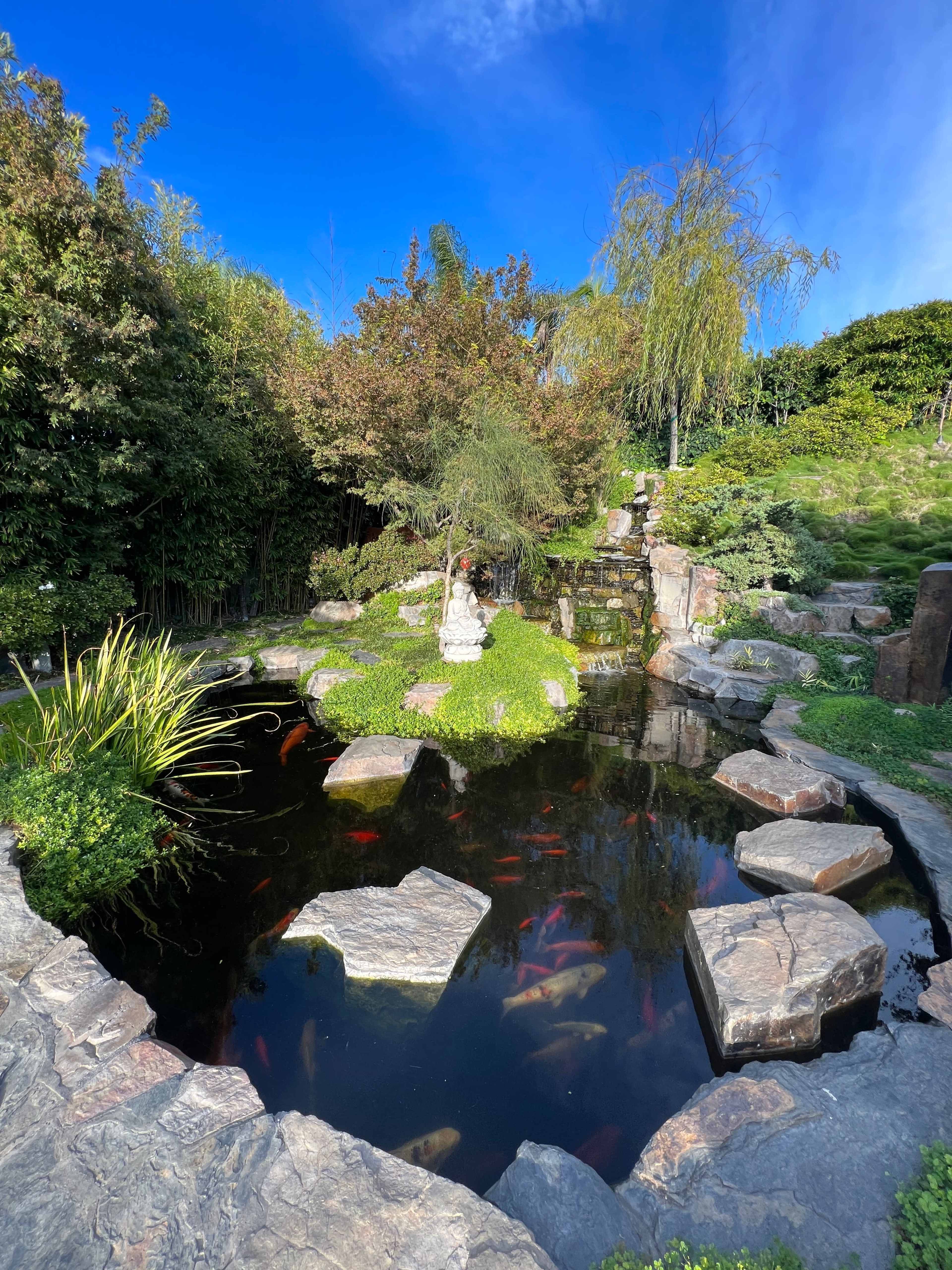 A serene pond surrounded by lush greenery and rocks, featuring colorful koi fish swimming in the water.