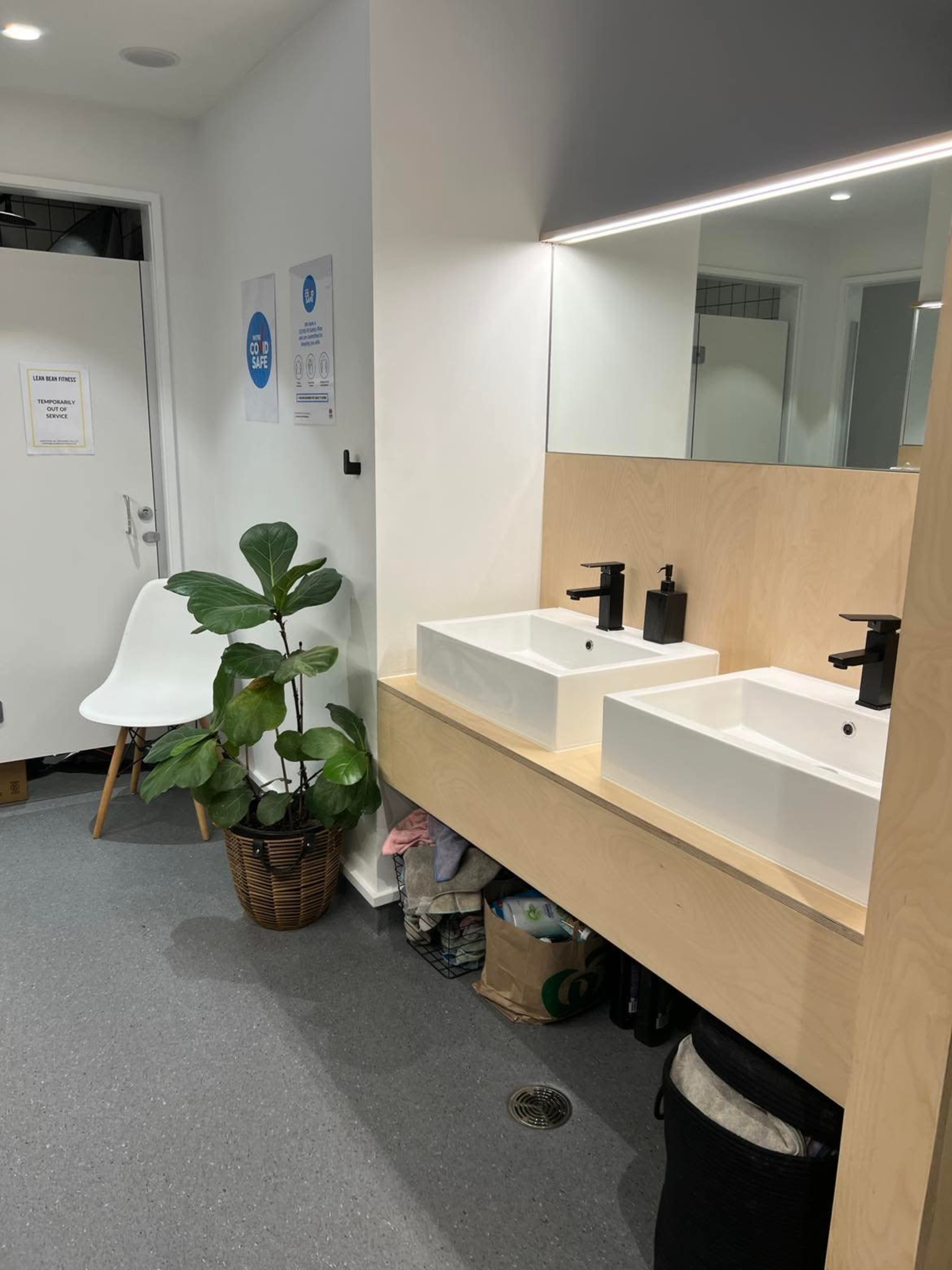 A modern bathroom with two white sinks, a potted plant, and a clear view of cabinets and a mirror above the sinks.