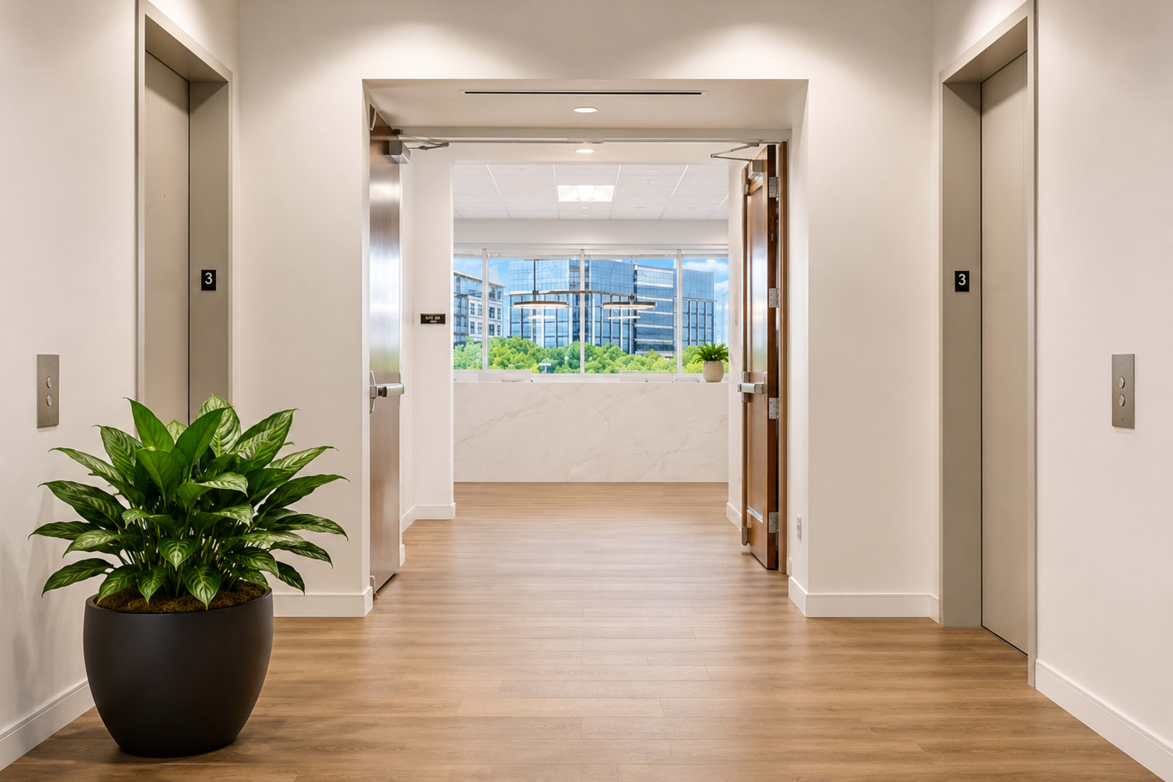 The image shows a modern corridor with elevators on either side, featuring a potted plant and large windows providing a view of the outdoors.