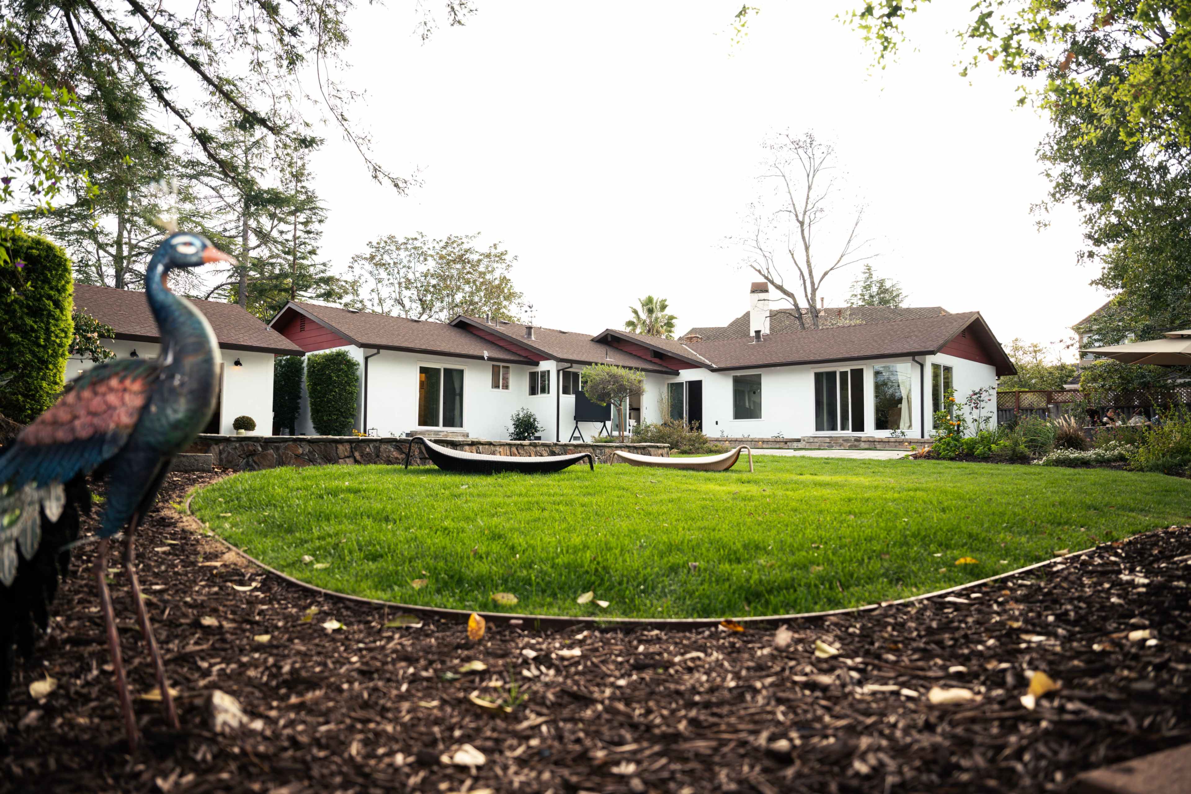 A landscaped backyard features a green lawn surrounded by flower beds and a peacock statue, with several single-story houses in the background.