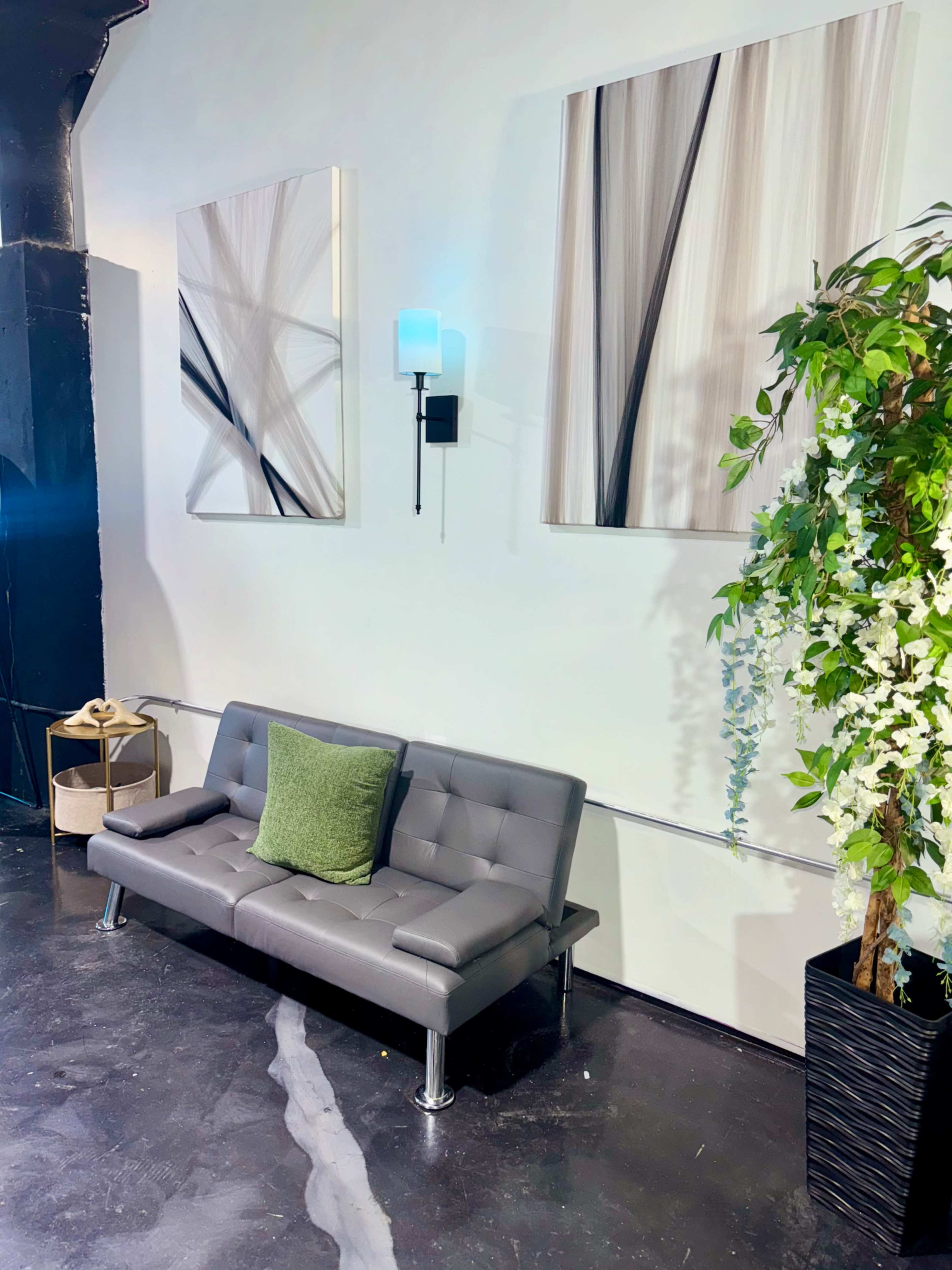 The image shows a modern gray couch with a green pillow, positioned against a wall adorned with two abstract artworks, beside a large potted plant.