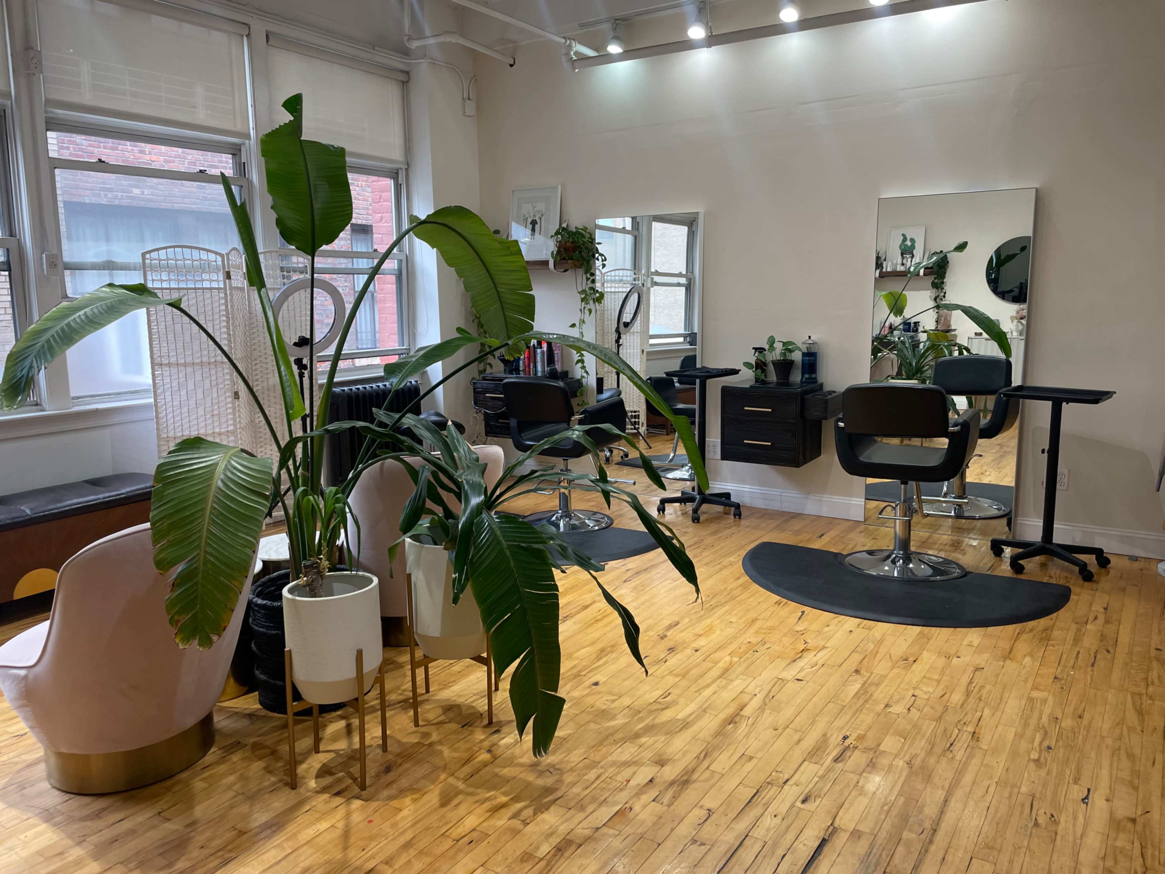 The image shows a brightly lit hair salon with styling chairs, plants, and a large mirror against the wall.