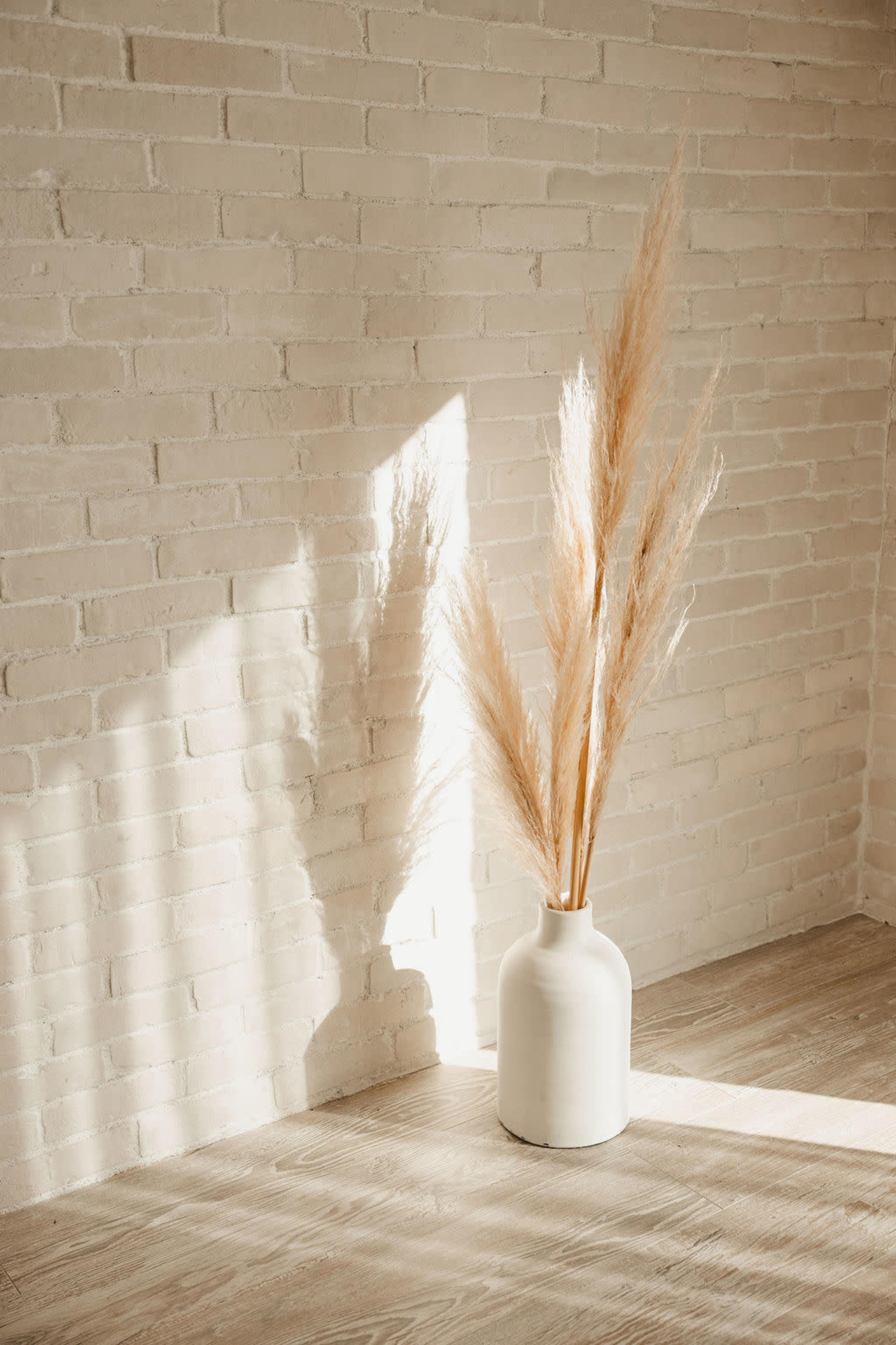 Neutral Natural Light Photo Studio Image in Oak View, Huntington Beach, CA