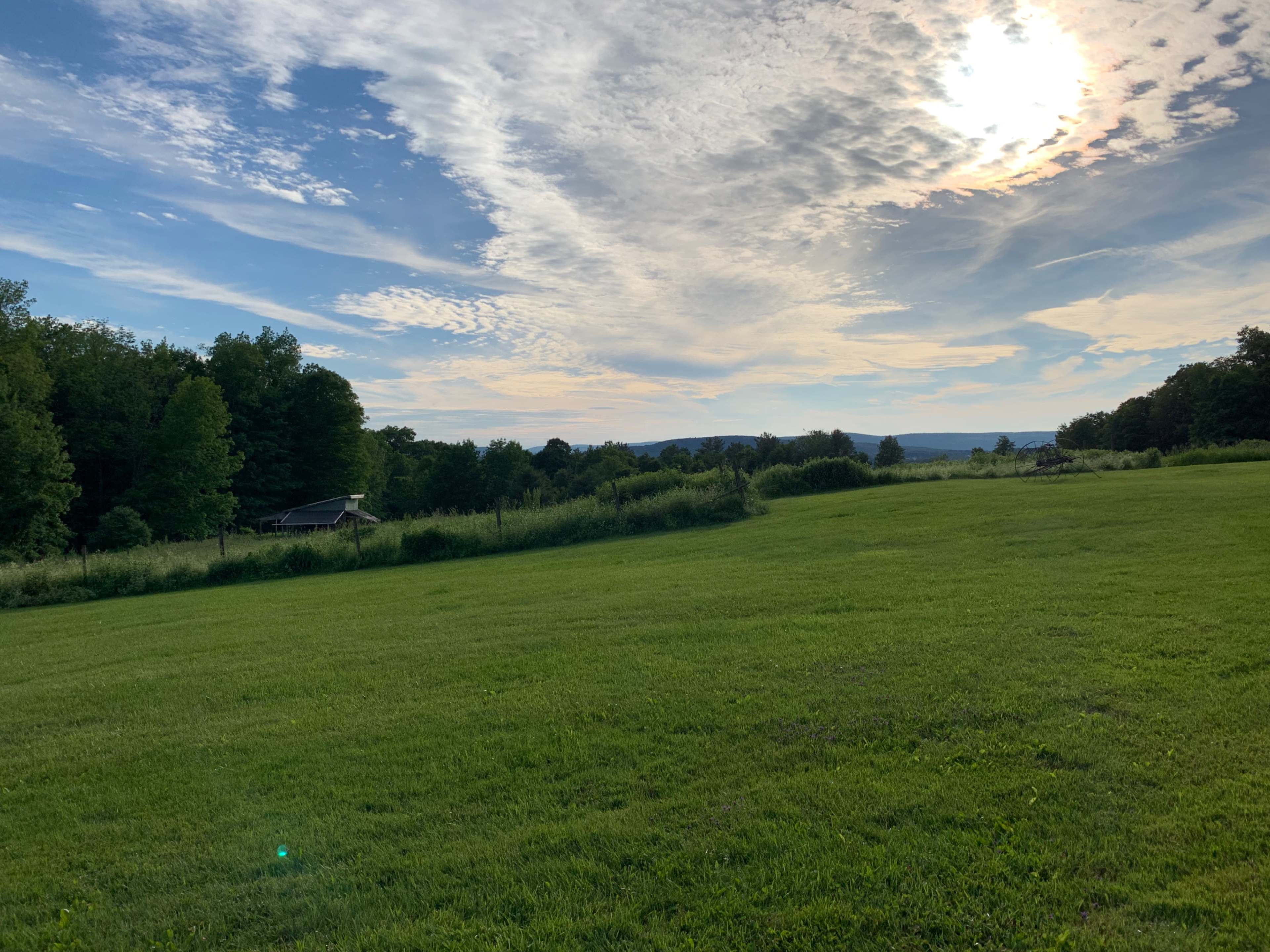 A grassy field with trees in the background and a cloudy sky with the sun setting on the horizon.