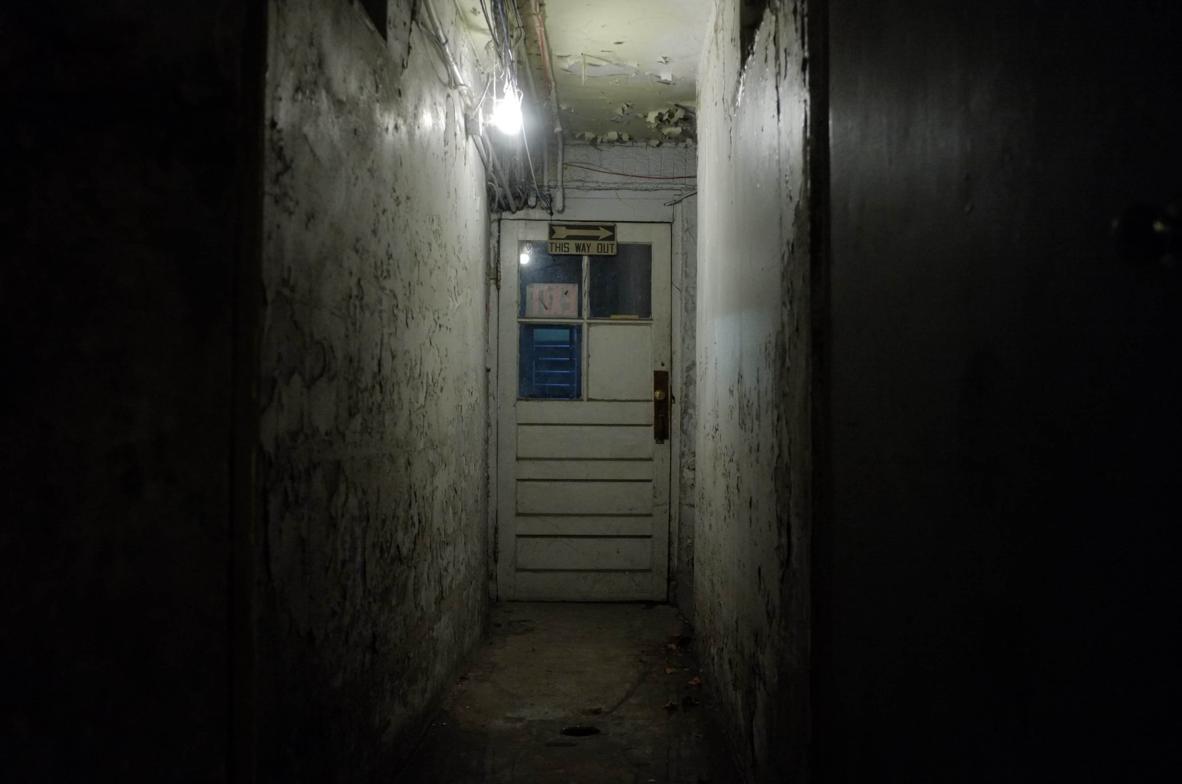 A dimly lit hallway leads to a closed door at the end, with peeling paint on the walls and a flickering light overhead.