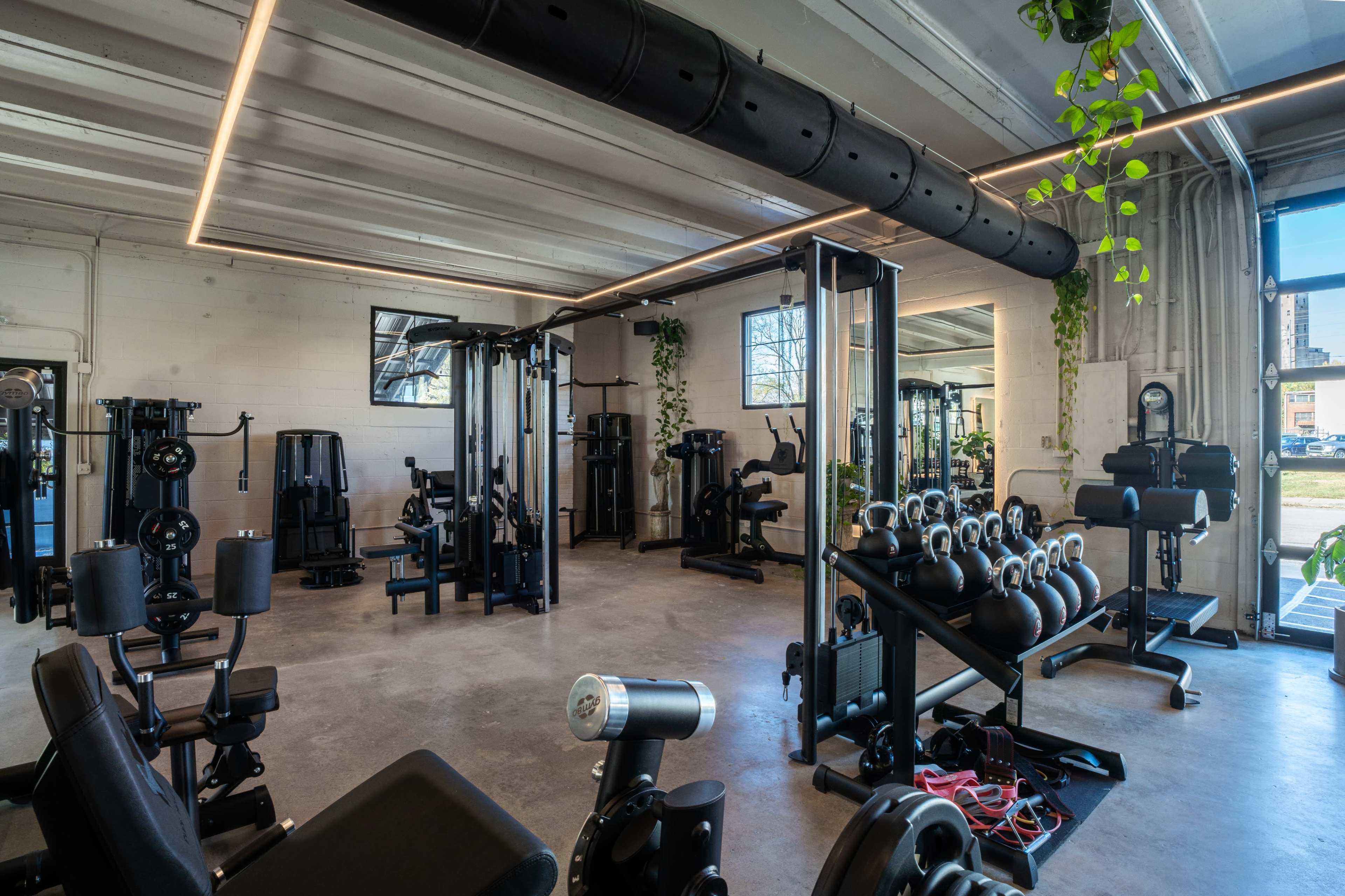 A modern gym interior equipped with various exercise machines, weights, and a large mirror, with plants adding a touch of greenery.