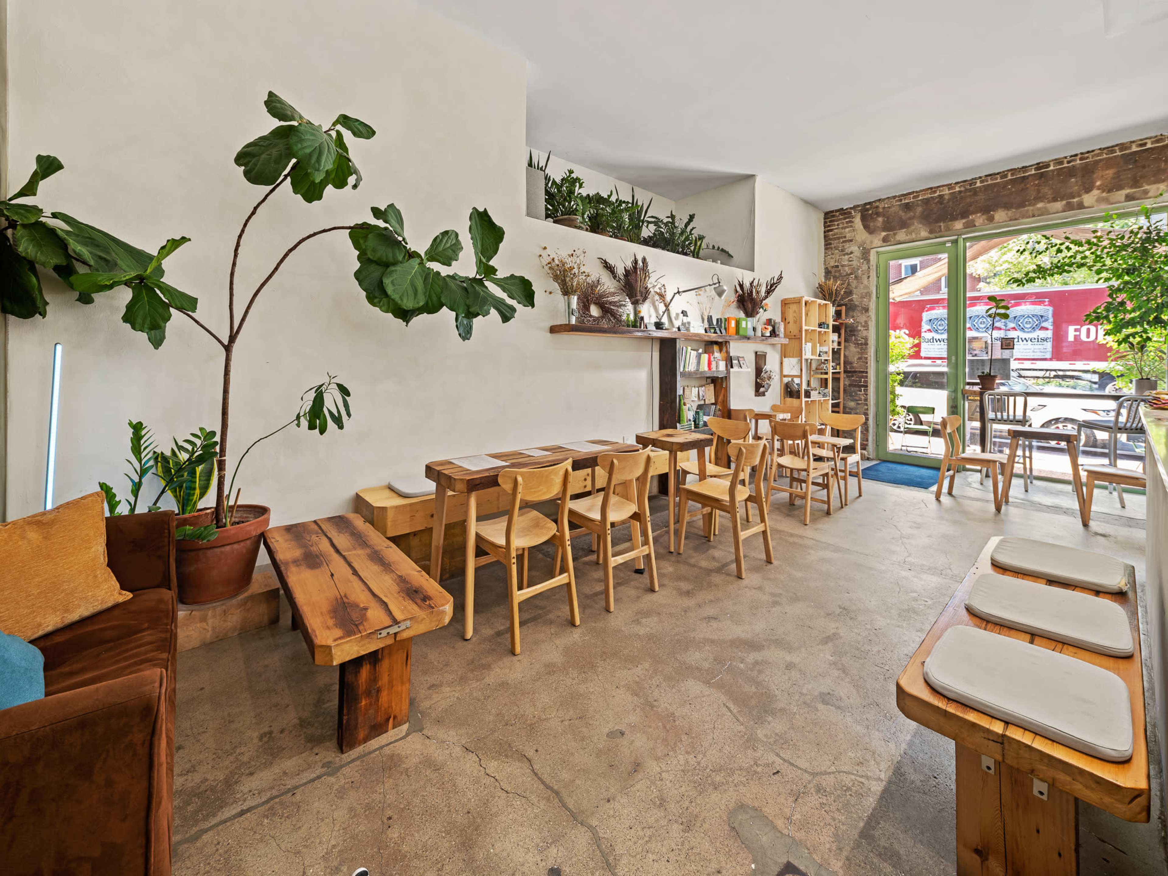 The image depicts a cozy café interior featuring wooden tables and chairs, a large houseplant, and a view of an outdoor seating area through the glass doors.