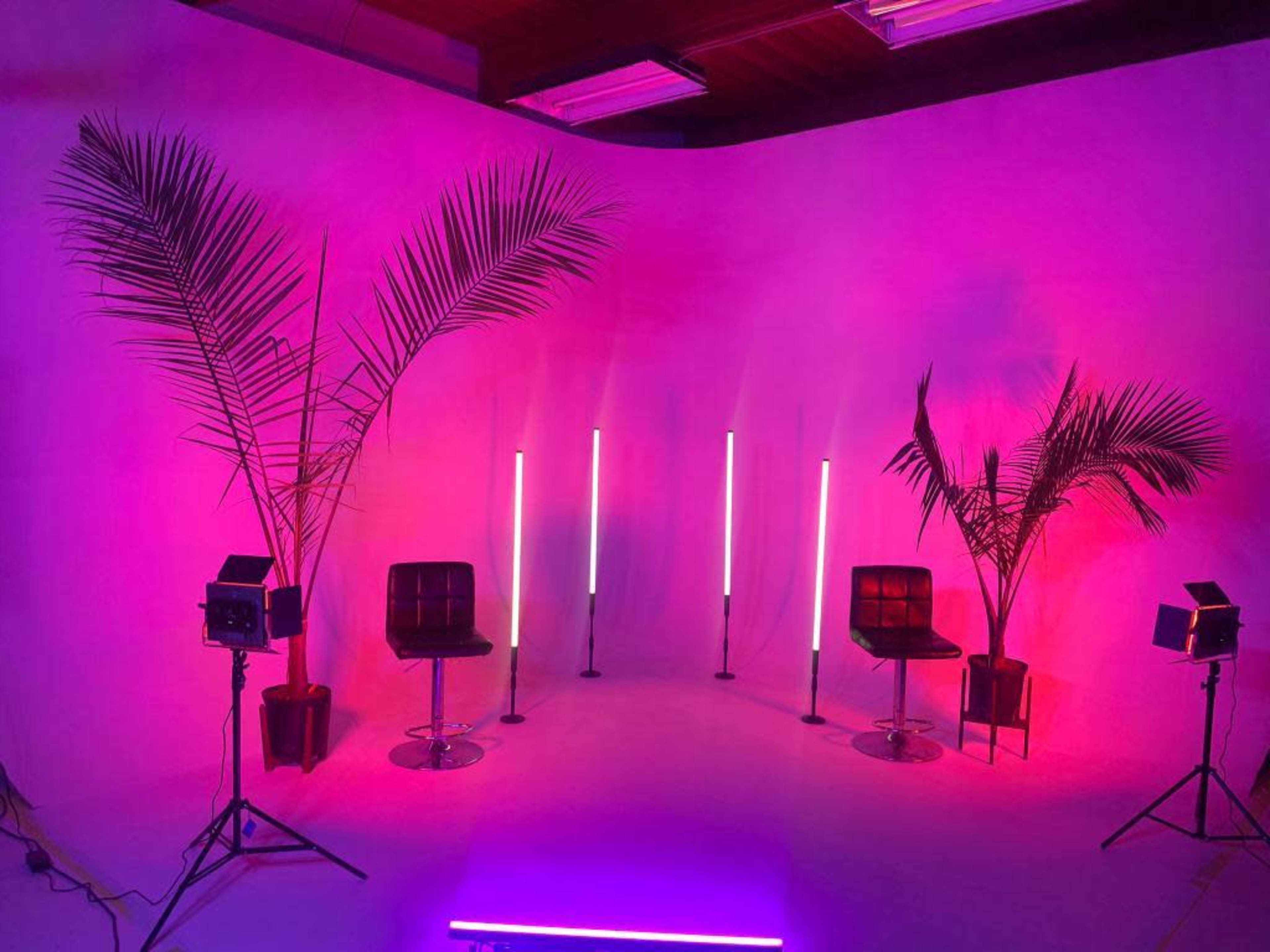 The image shows a vibrant studio setting with two black bar stools, tall neon lights, and potted palm plants on either side, all against a pink and purple backdrop.