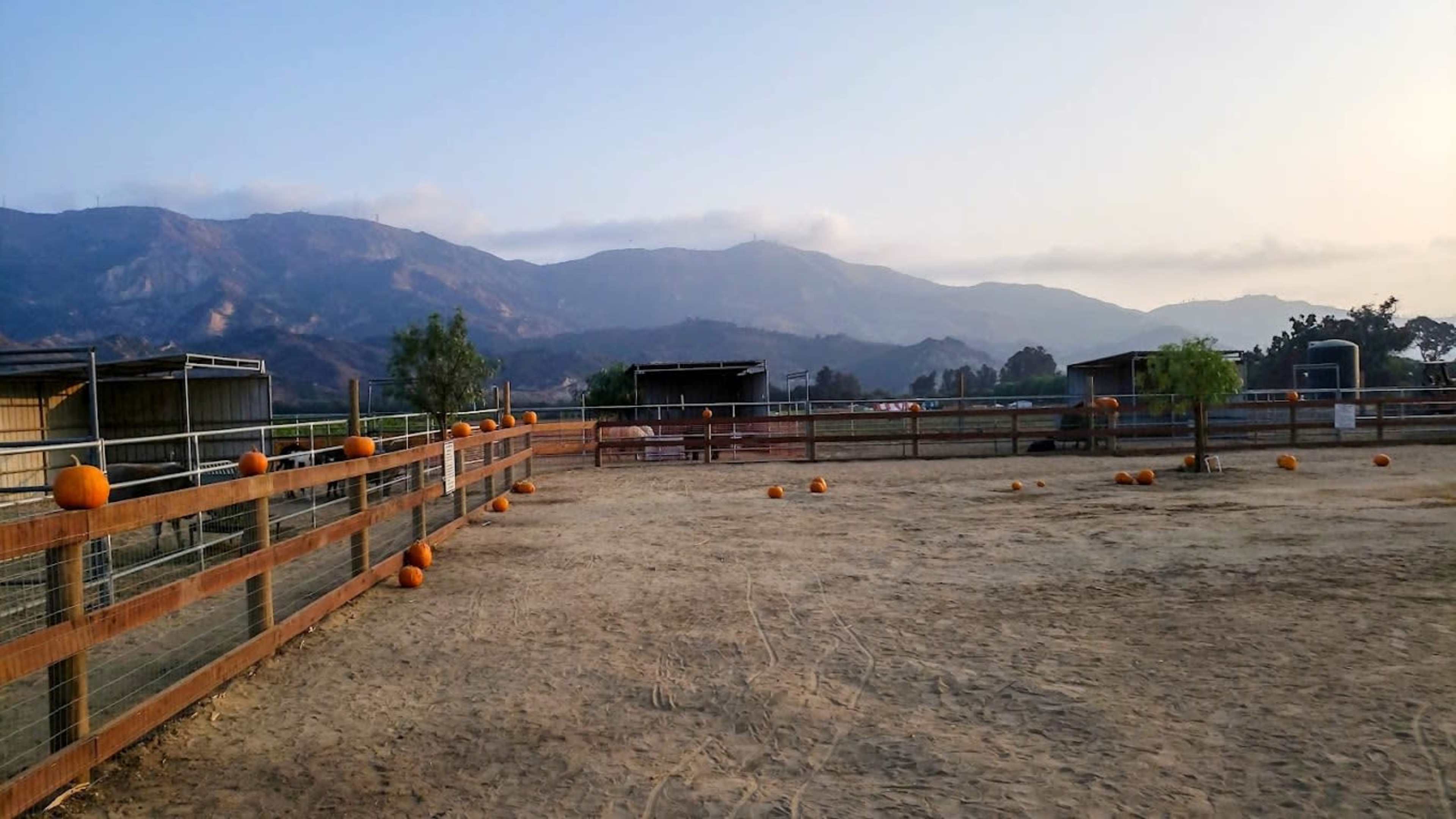 Farm  30 Minutes From Los Angeles County Image in , santa paula, CA