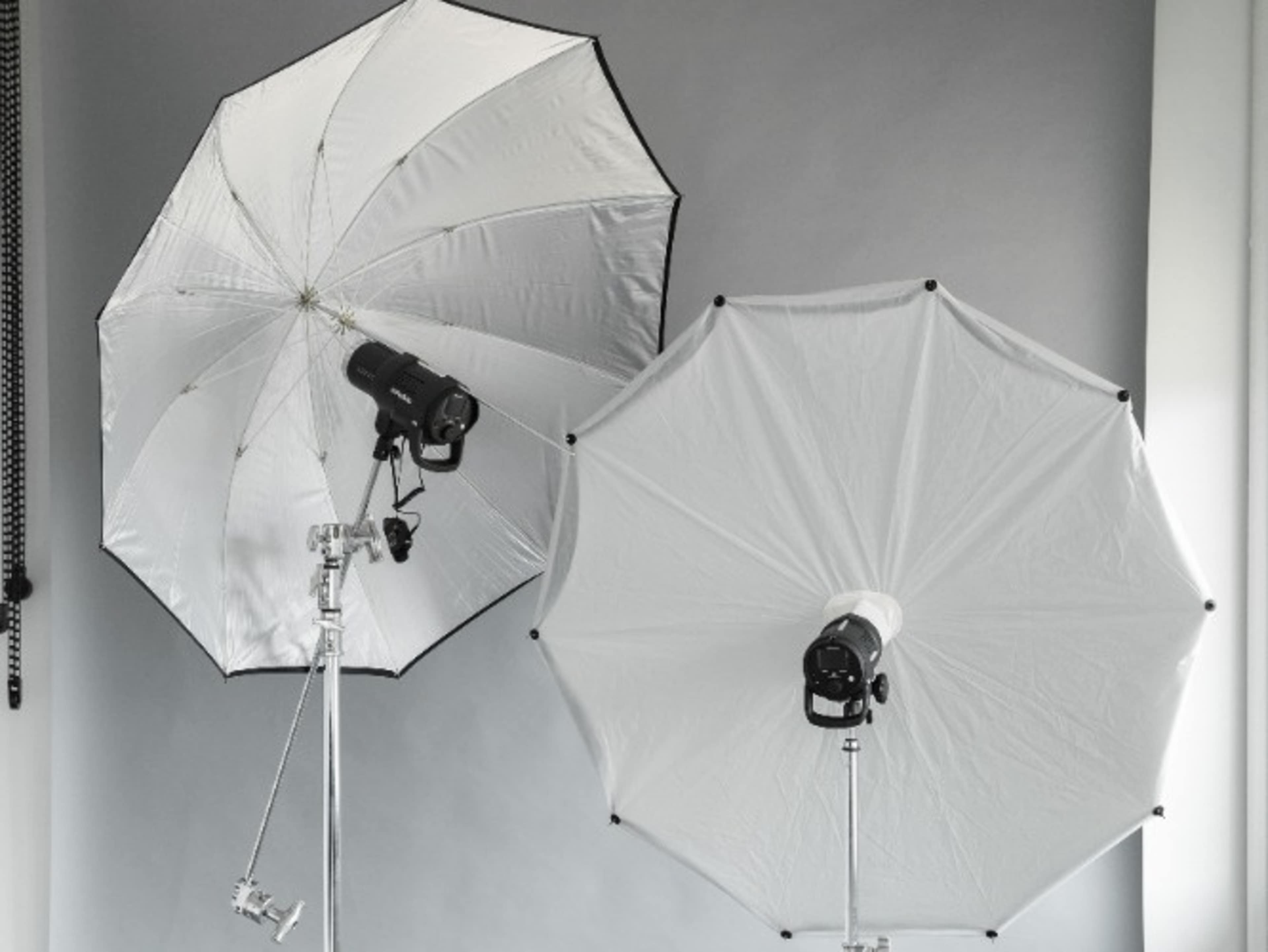 Profoto D2 1000 Light Package