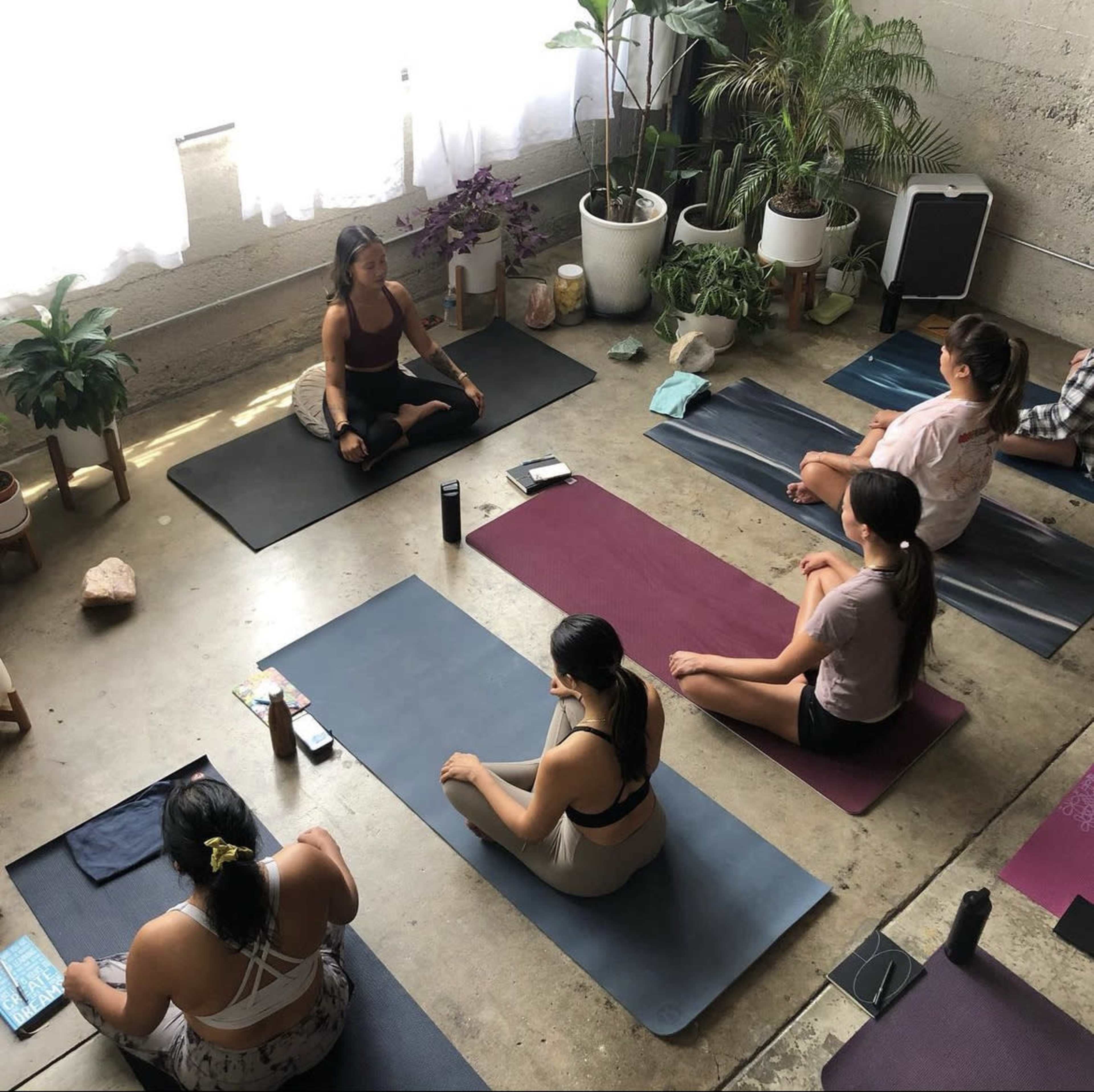 A group of individuals practices yoga on mats in a spacious room filled with plants and natural light.