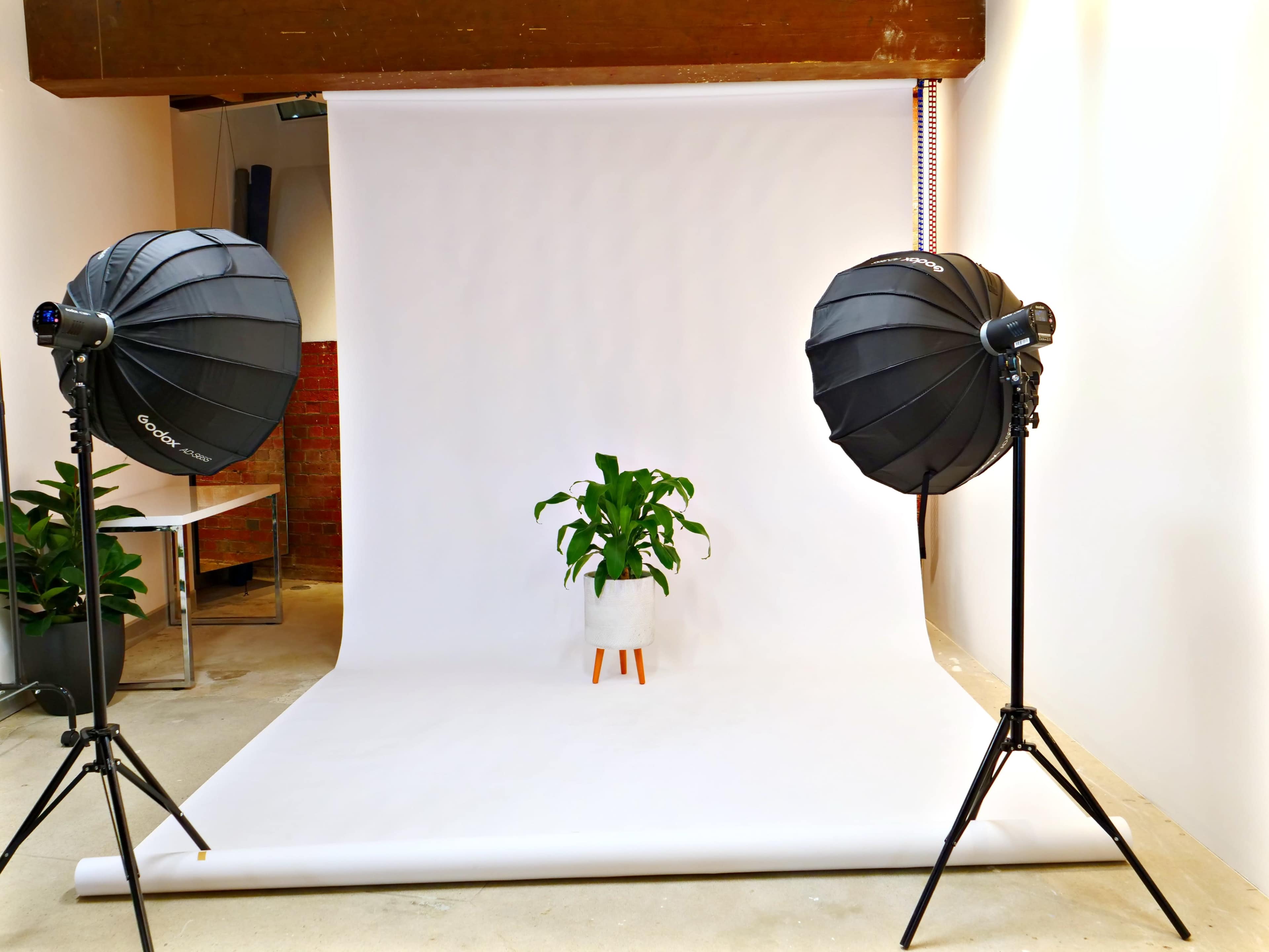 A photography setup featuring two softbox lights on either side of a white backdrop with a potted plant in the center.