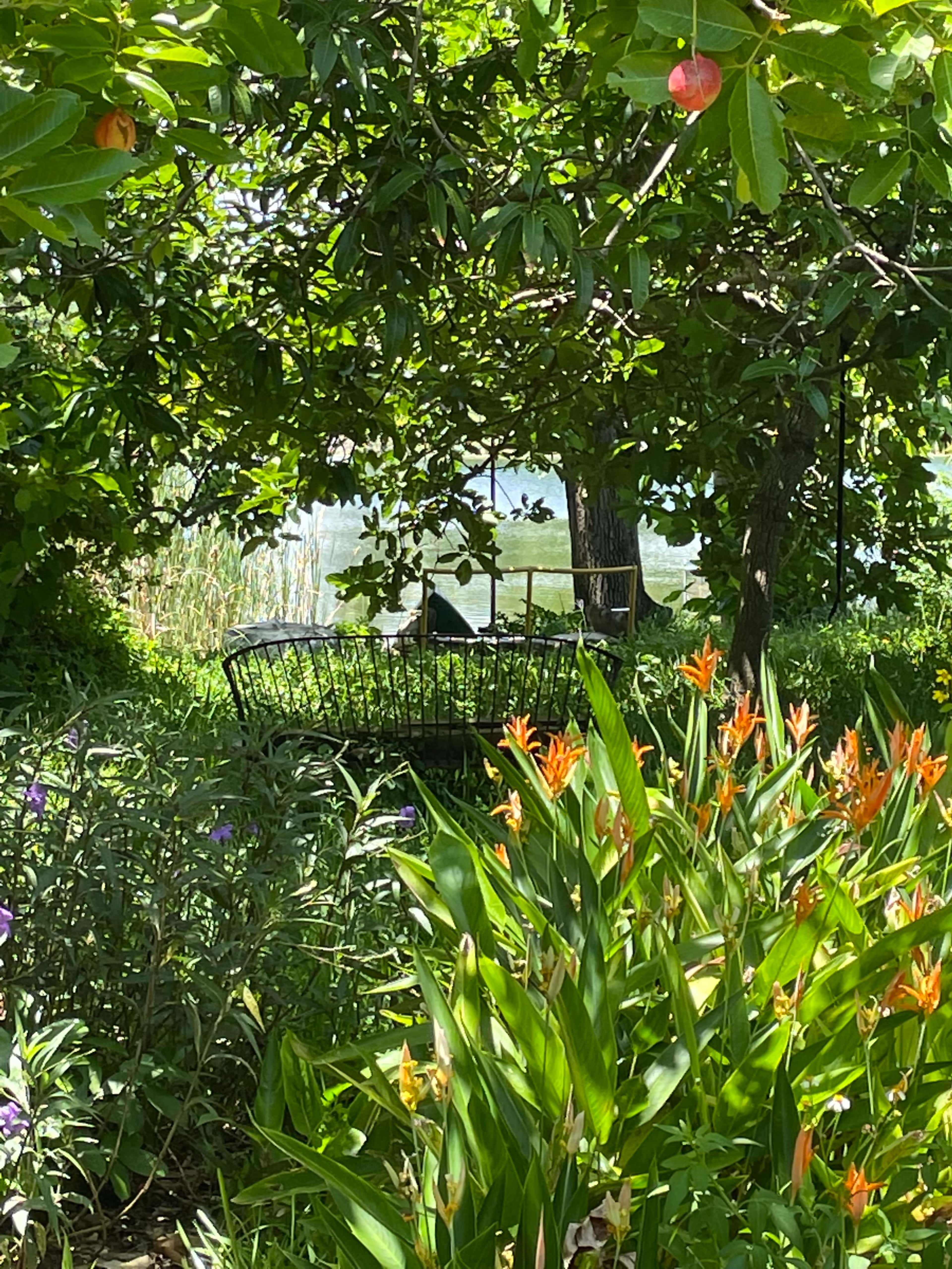 A wrought-iron bench is nestled among vibrant flowers and greenery beside a calm body of water.