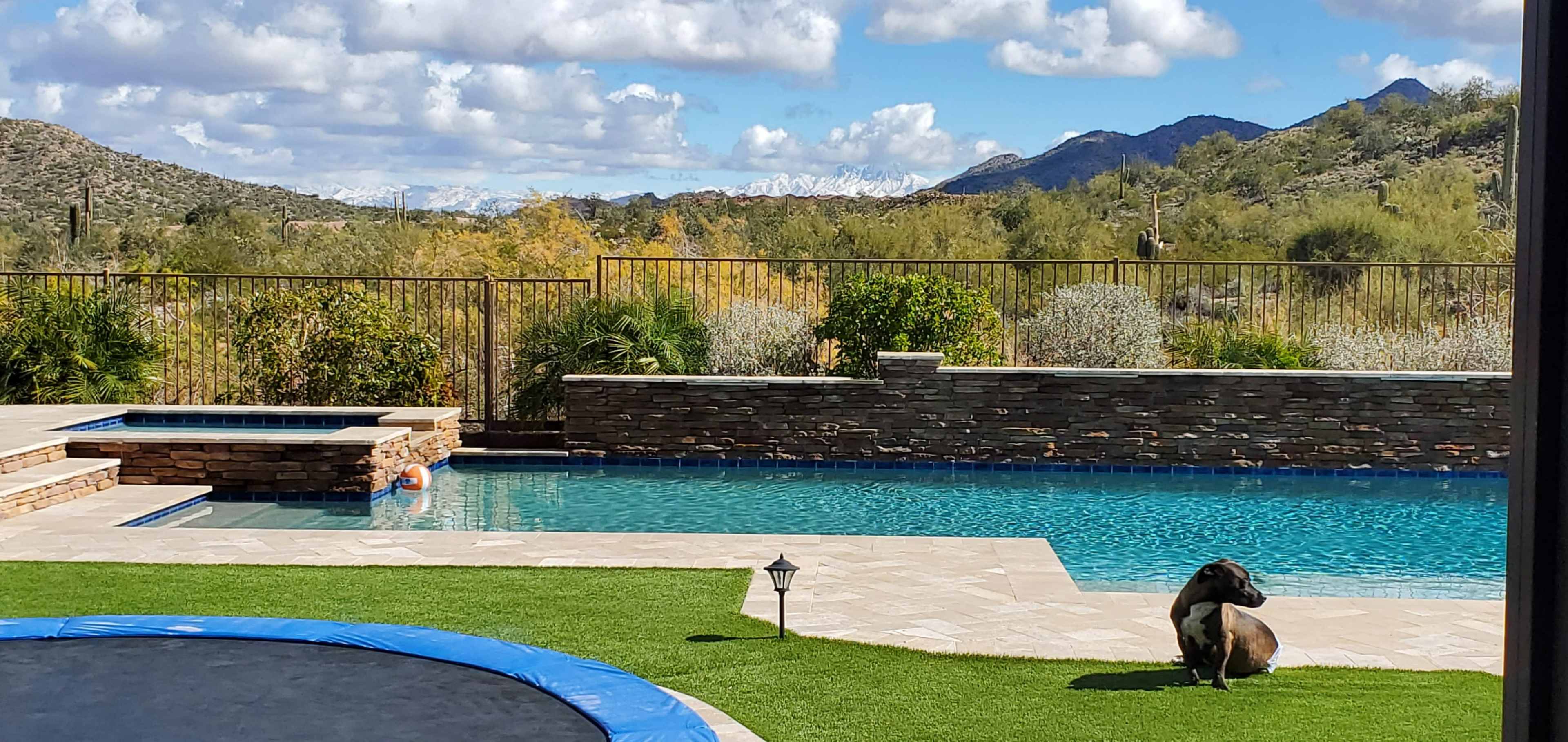 A dog rests on a grassy area next to a swimming pool, with mountains and blue skies in the background.