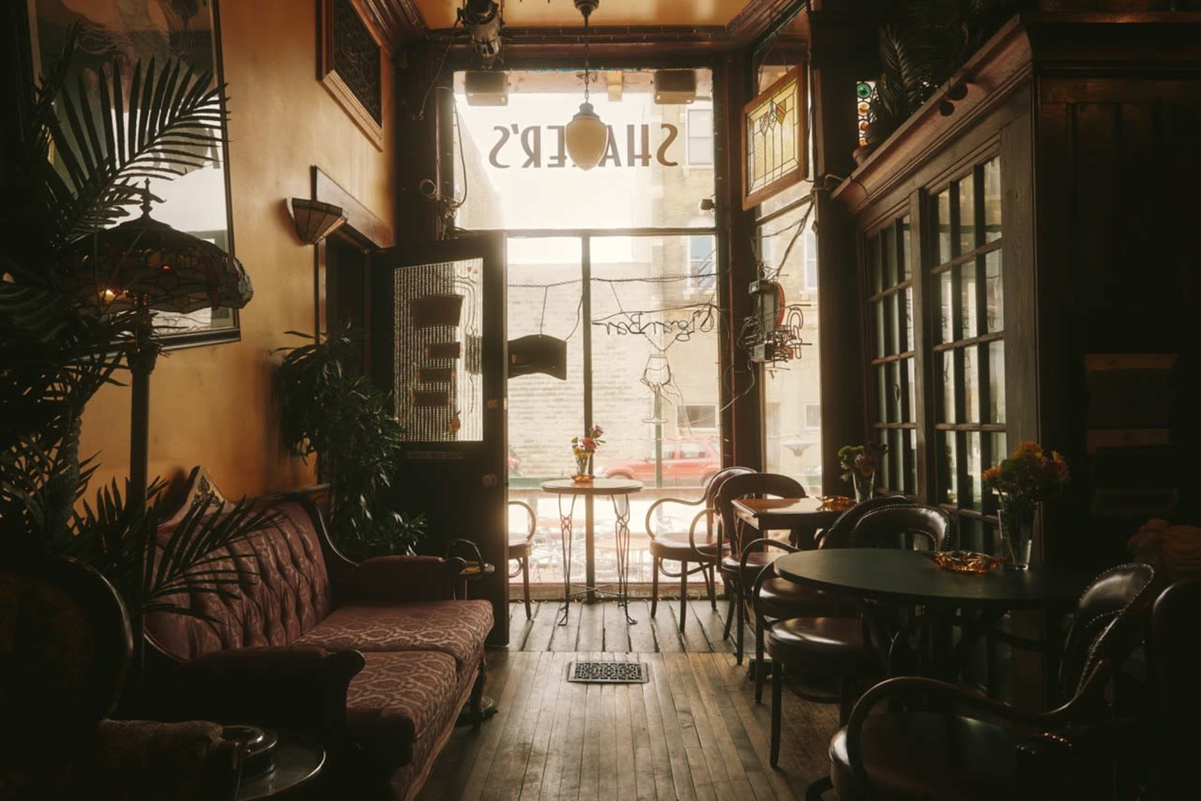 The image shows a cozy café interior with vintage furniture, plants, and large windows letting in natural light.