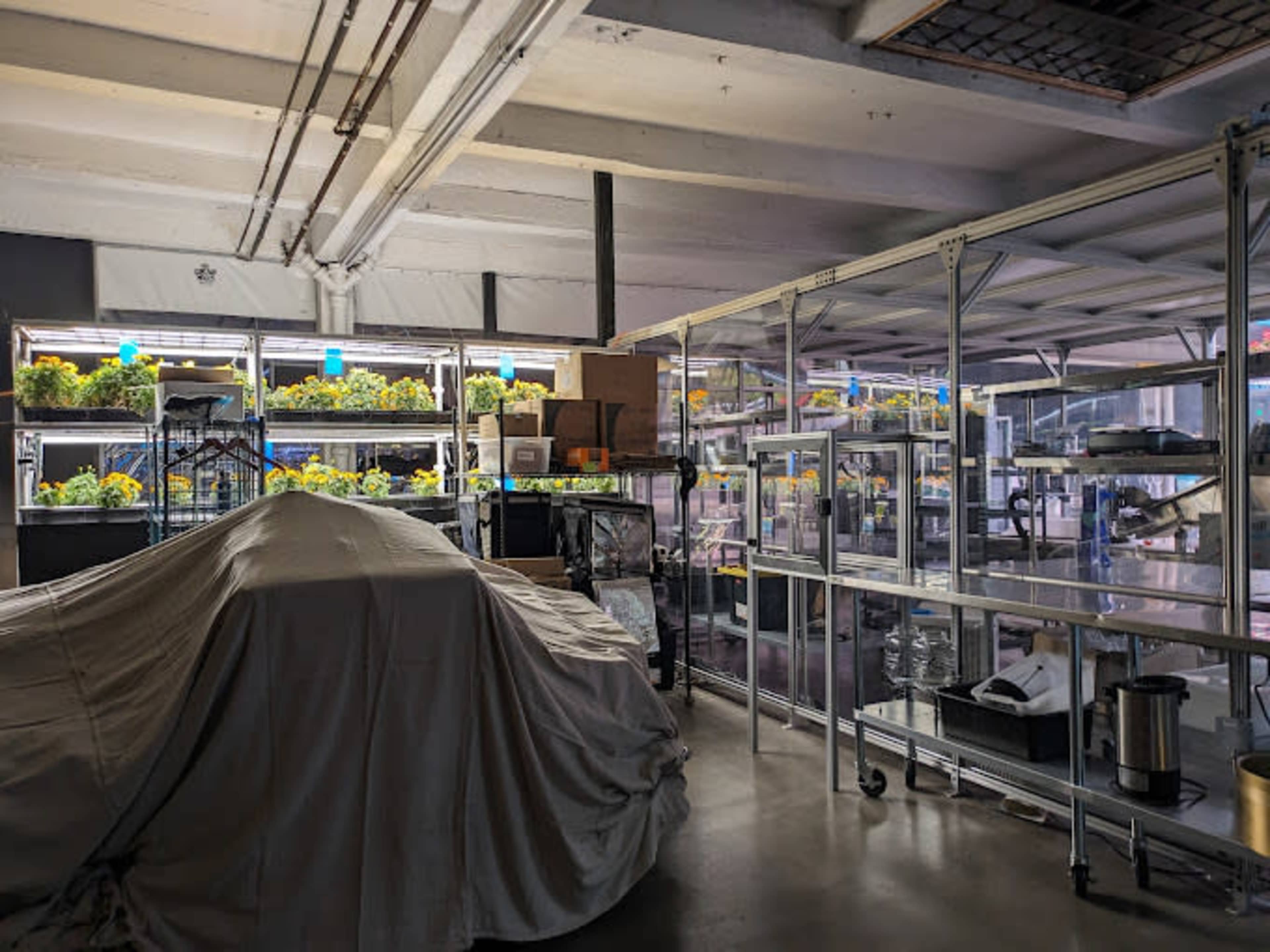 Indoor Brooklyn Farm in Converted Warehouse Image in Prospect Heights, Brooklyn, NY