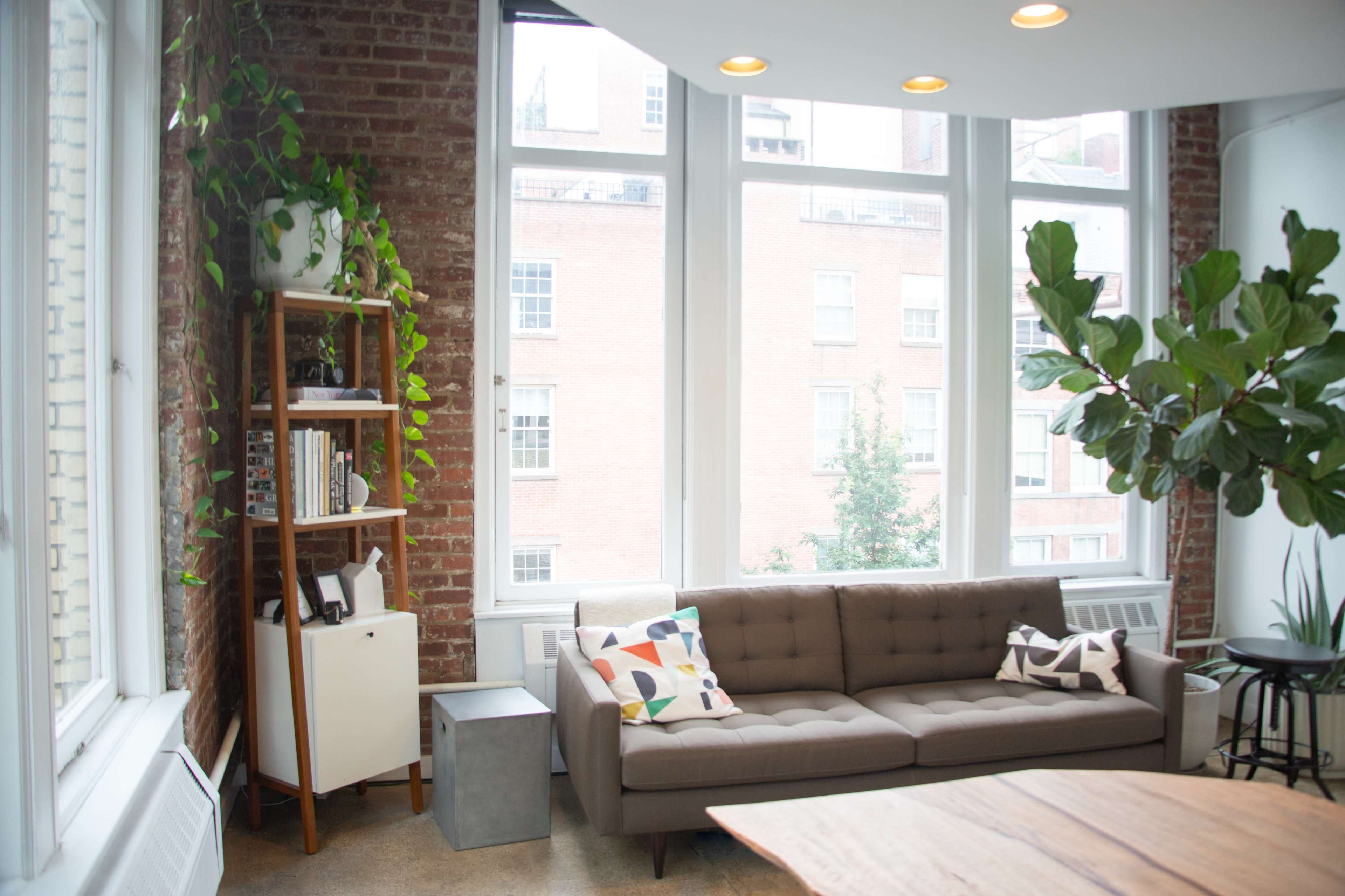 A cozy living room features a brown sofa, a bookshelf with plants, and large windows that overlook a brick building.