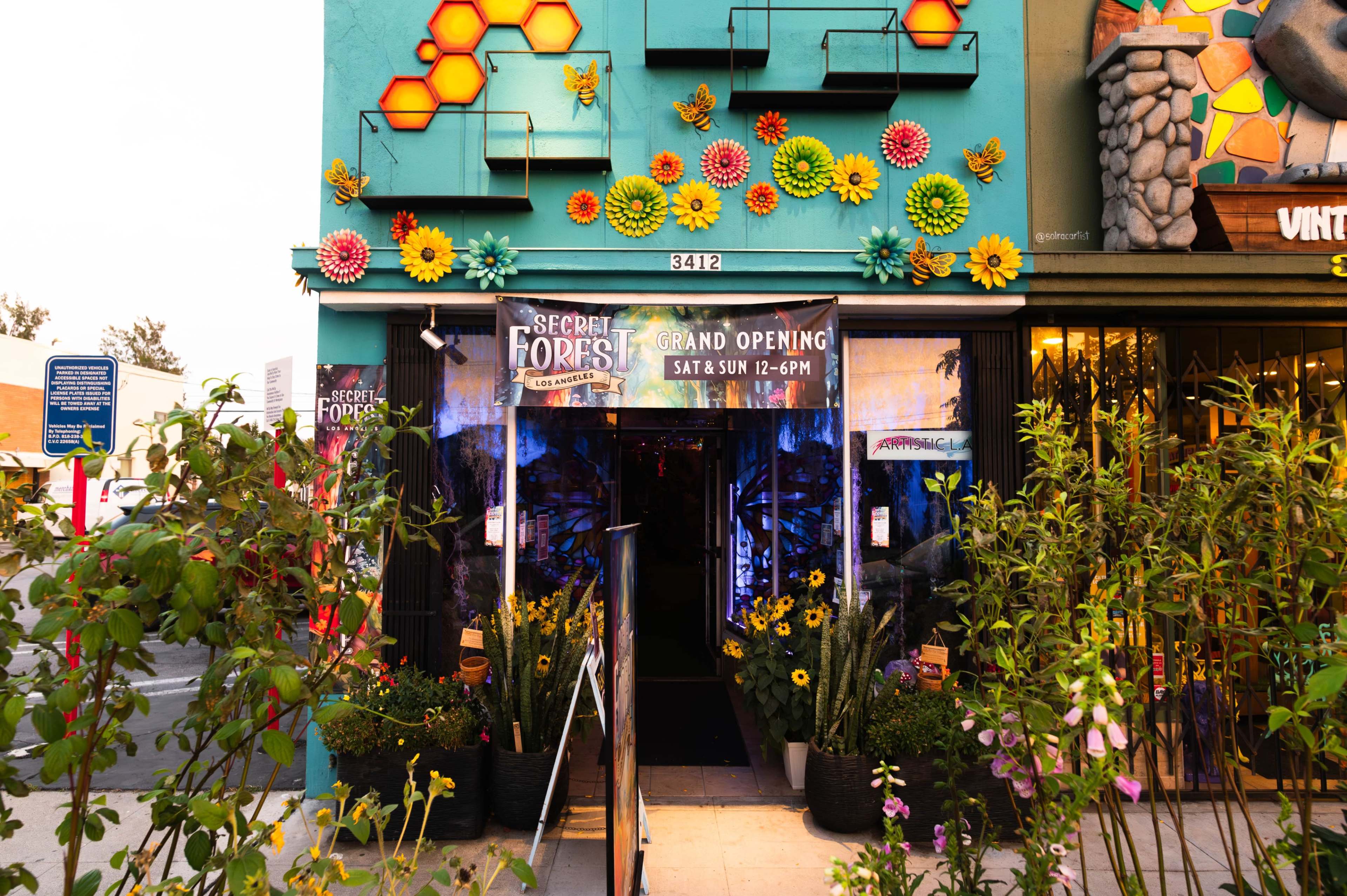 Secret Forest Los Angeles- (Burbank) Image in Magnolia Park, Burbank, CA