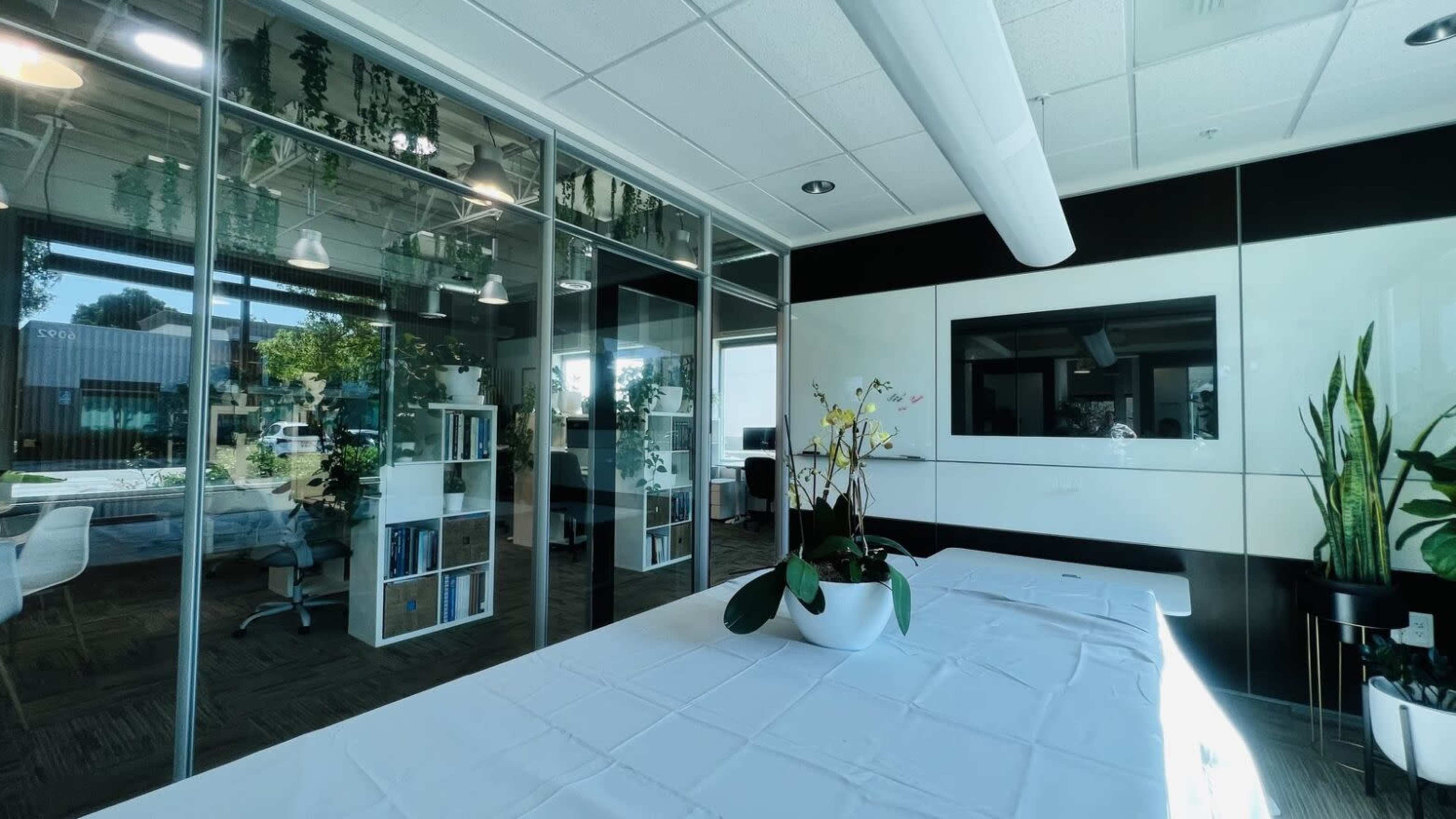 The image shows a modern office space with glass walls, a large table covered with a white tablecloth, and various plants positioned around the room.
