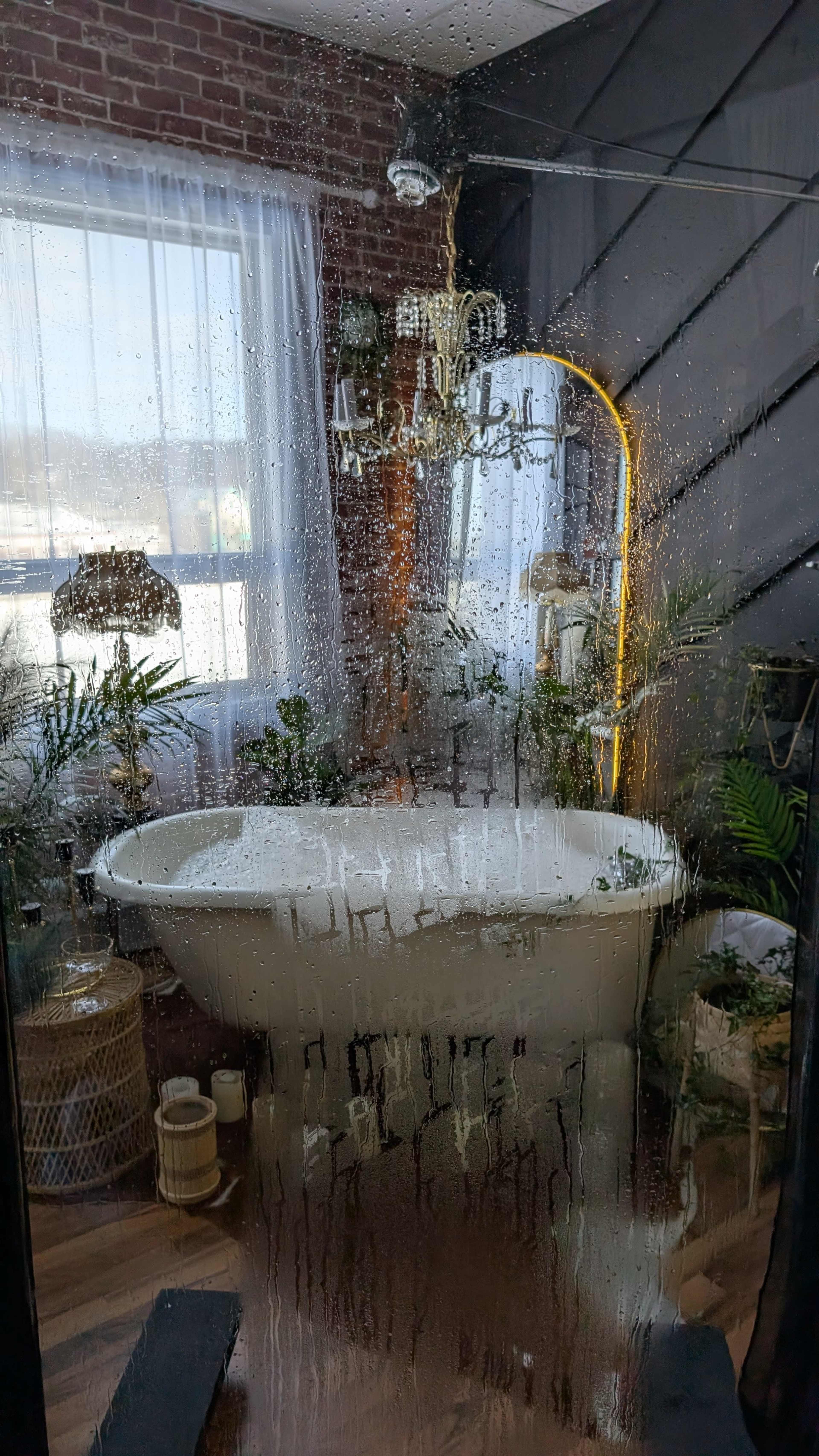 The image shows a bathroom with a freestanding tub, decorative plants, and a chandelier, viewed through a foggy glass panel.