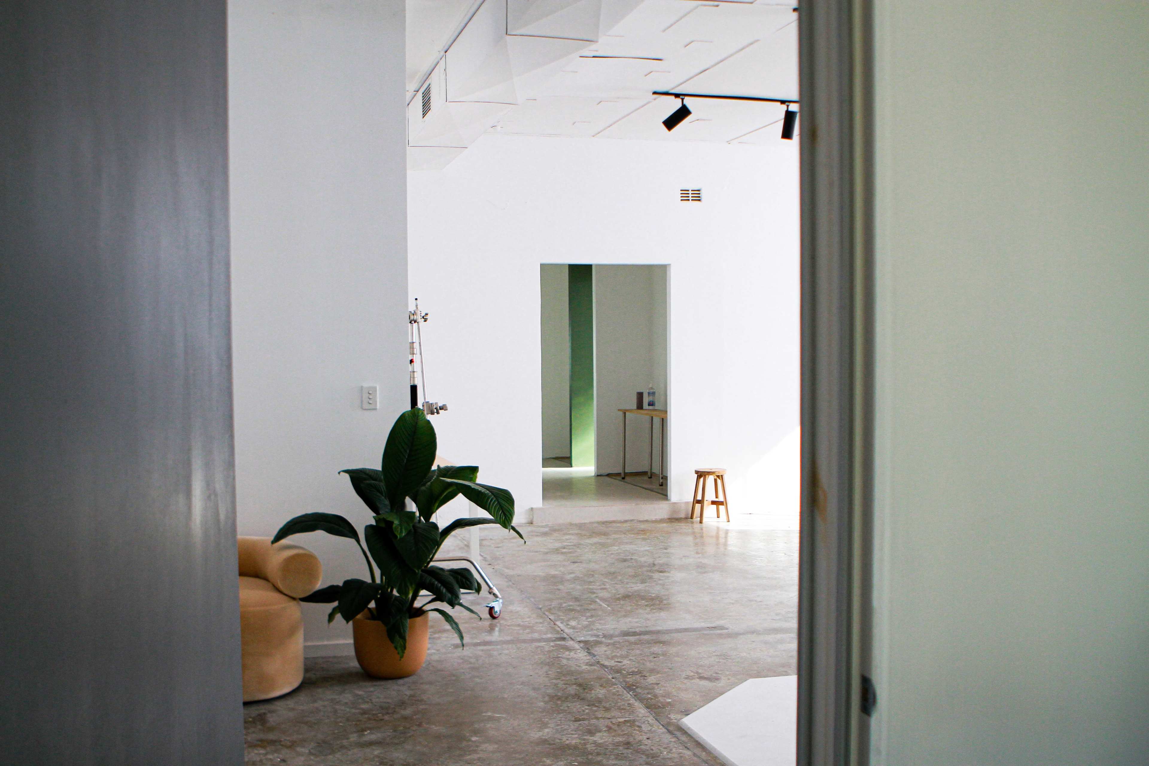A spacious modern room with concrete floors, a green plant in a pot, and an open doorway leading to another area.