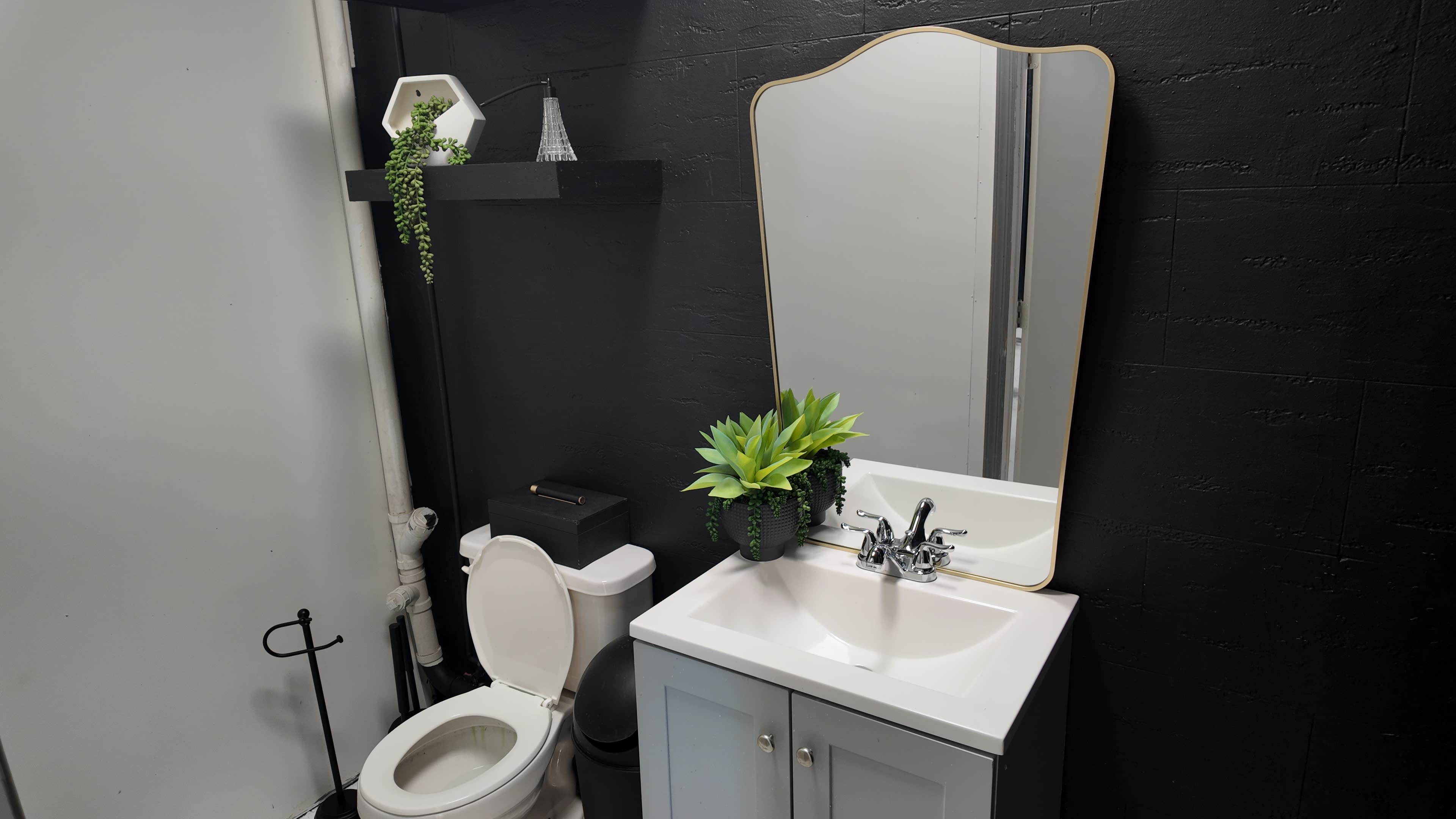 The image shows a modern bathroom setup featuring a toilet, a white sink with a vanity, a large mirror, and decorative plants against a dark wall.