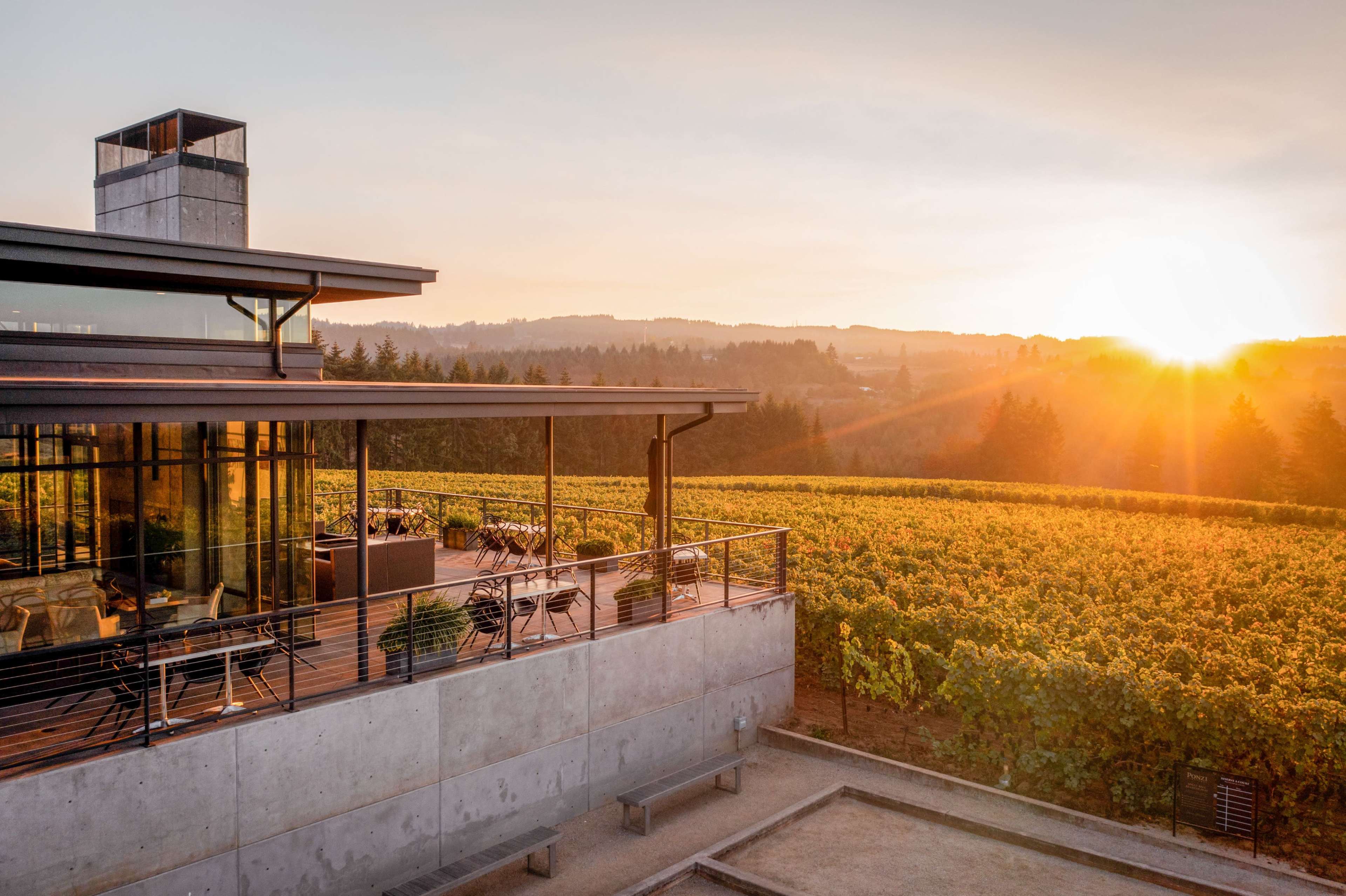 Vineyard Image in , Sherwood, OR