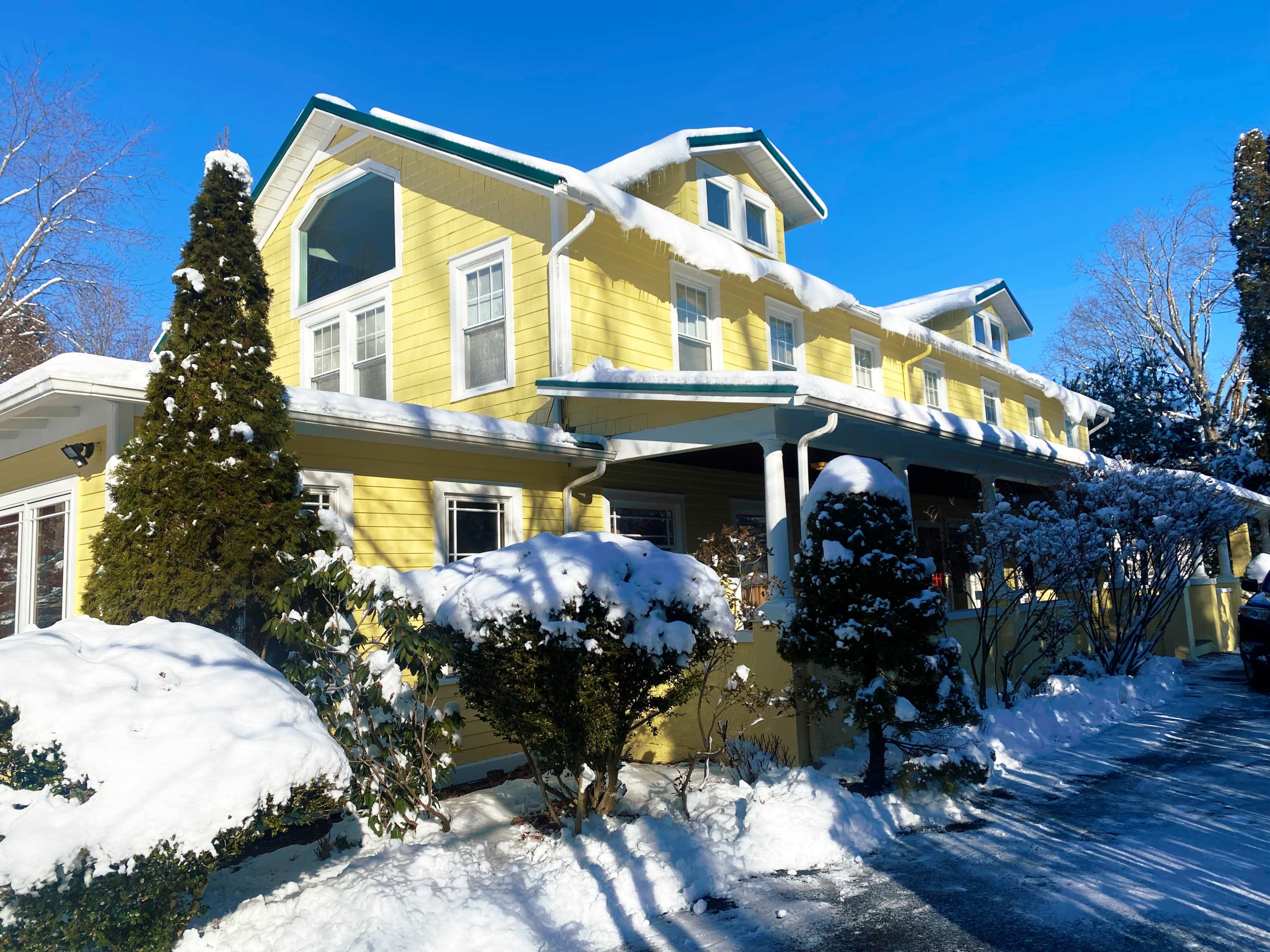A yellow house with a snow-covered roof stands beside neatly trimmed shrubs under a clear blue sky.