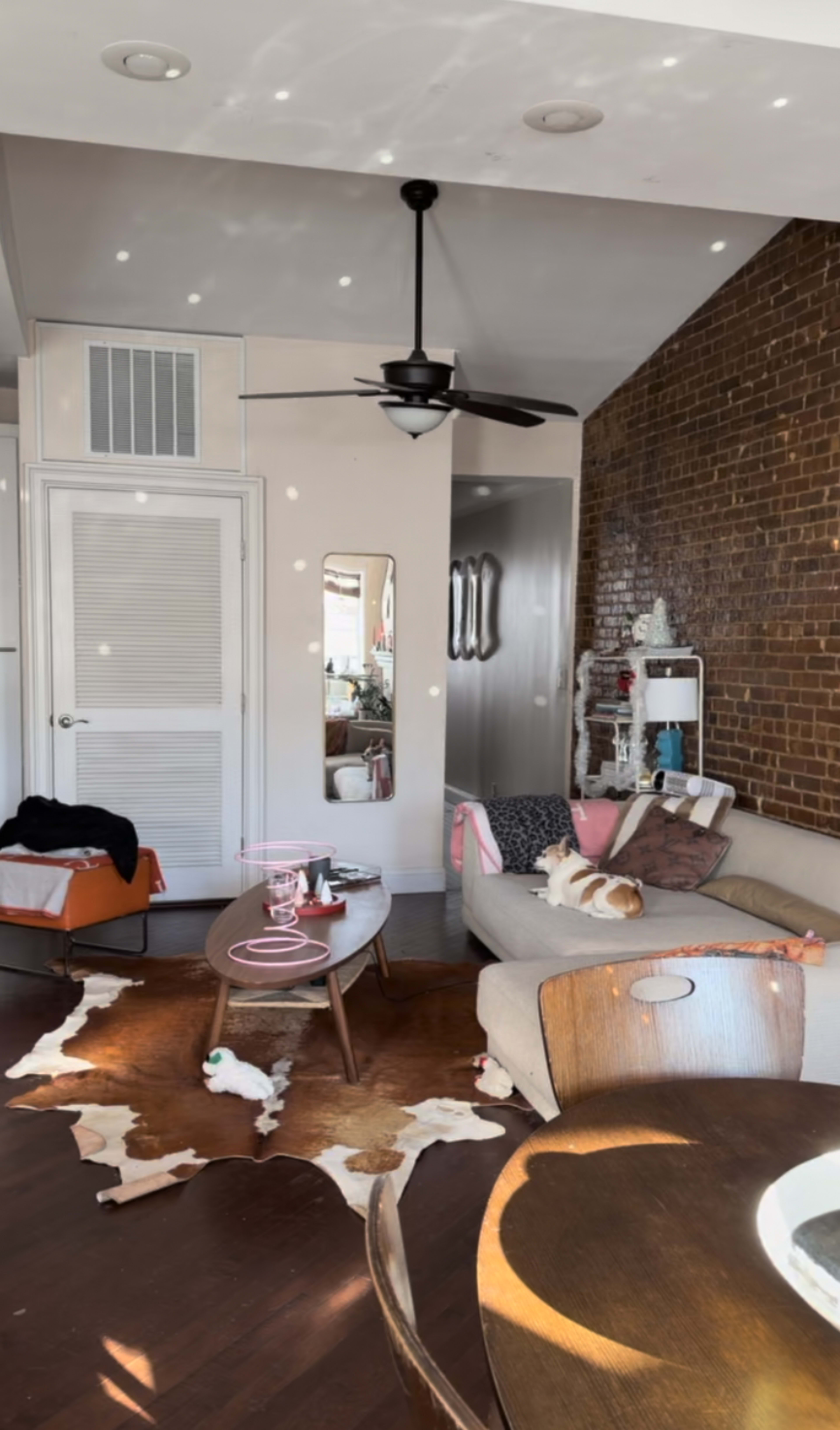 The living room features a sofa with a dog resting on it, a wooden coffee table, and a small dining table, all illuminated by light reflecting off the ceiling.