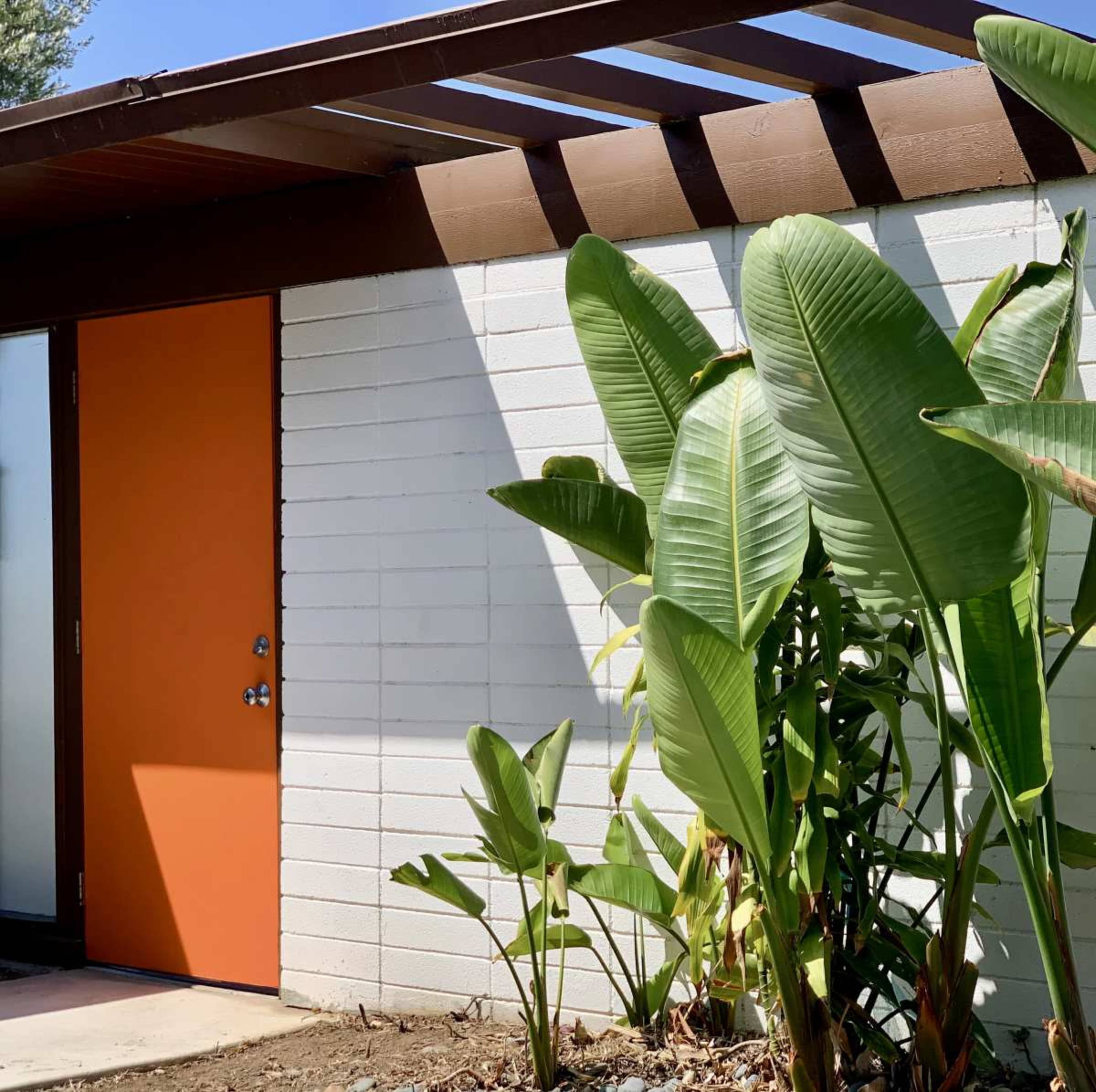An orange door is set against a white brick wall, surrounded by lush green plants under a wooden overhang.