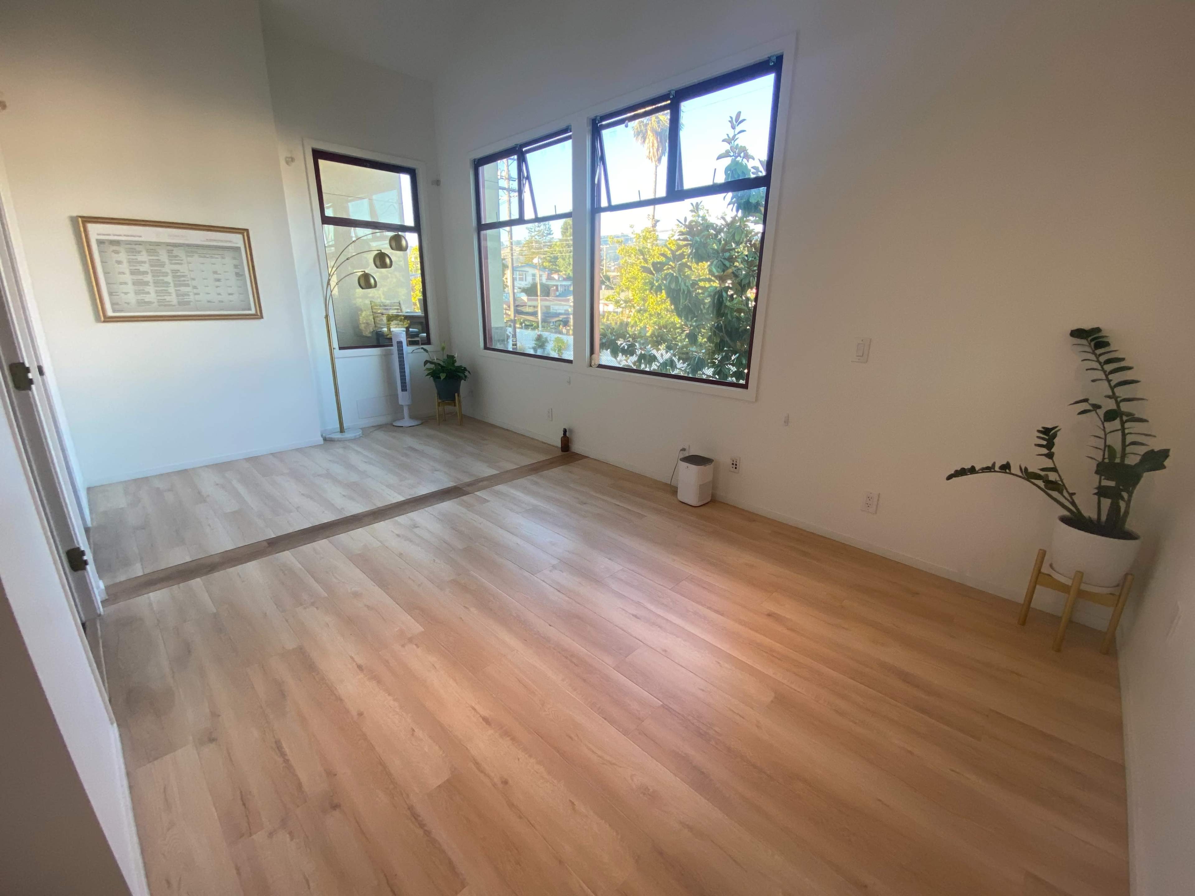 A spacious, well-lit room with hardwood floors, large windows, and a few potted plants.