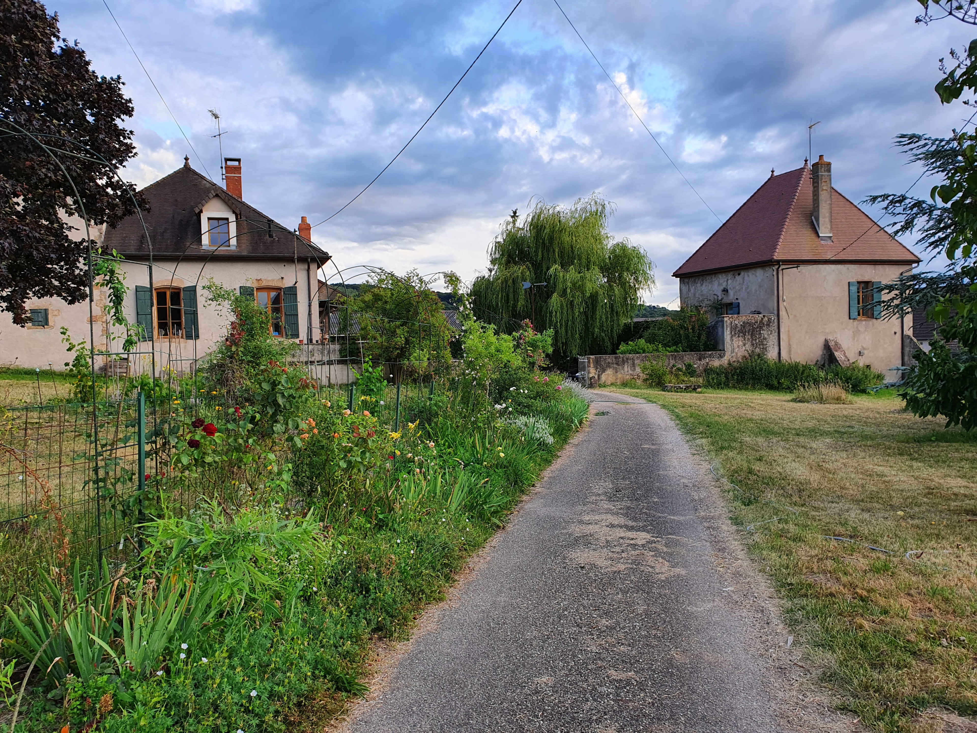 A narrow, winding road leads through a countryside area with two houses on either side, surrounded by greenery and a garden.