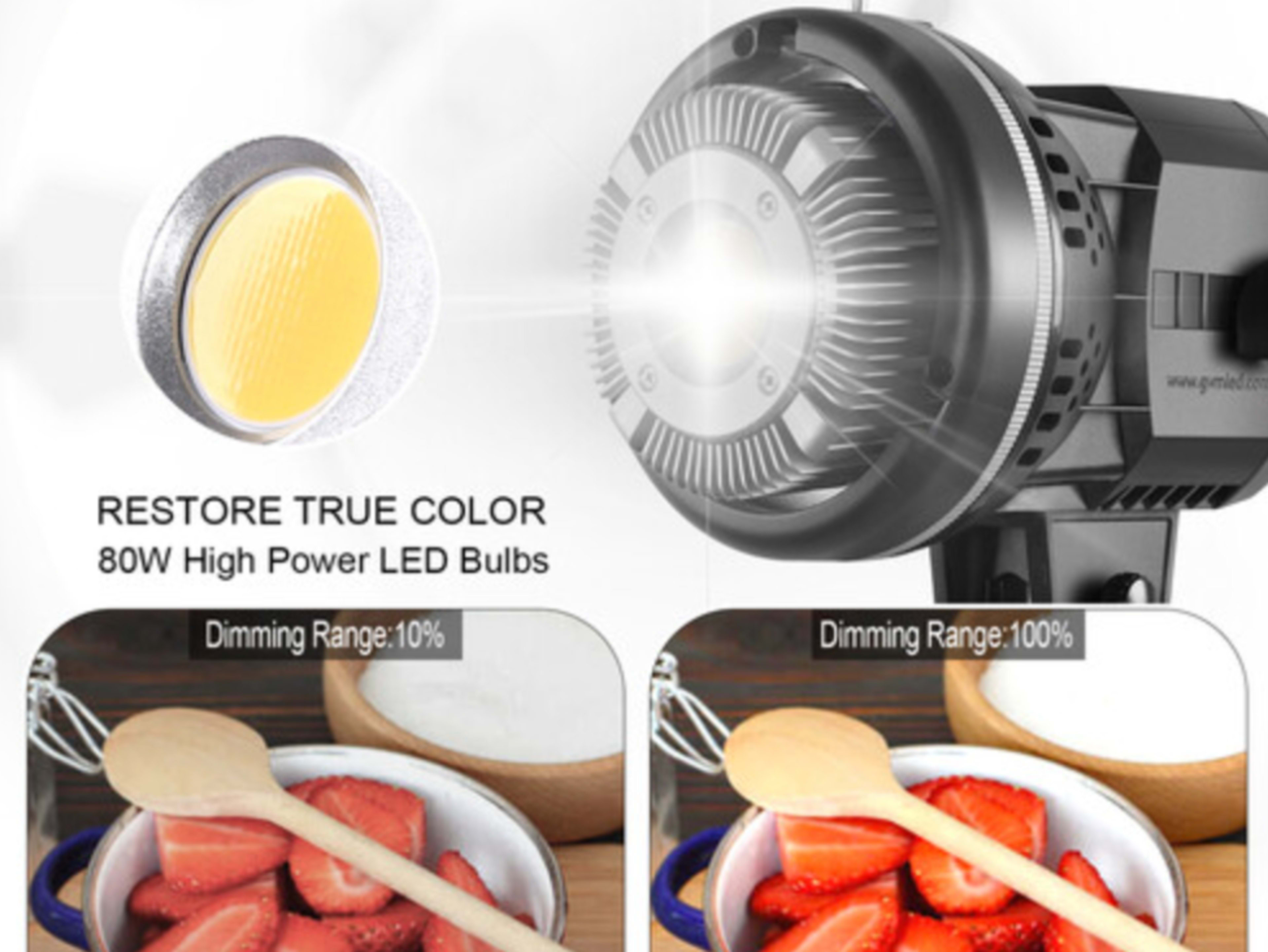 GVM 60w Continuous Lighting 