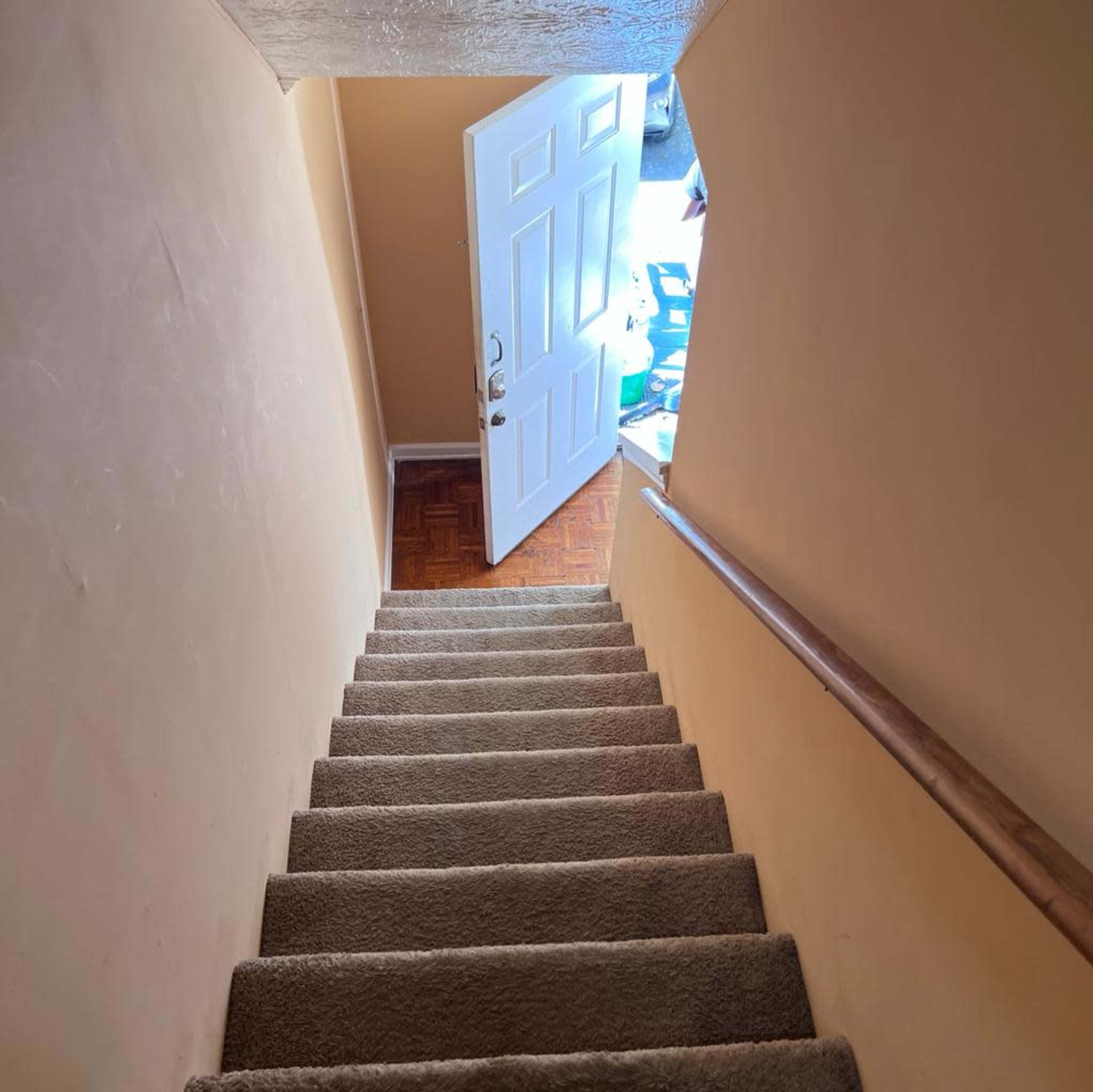 A carpeted staircase leads down to a door that is open, revealing a glimpse of a room beyond.
