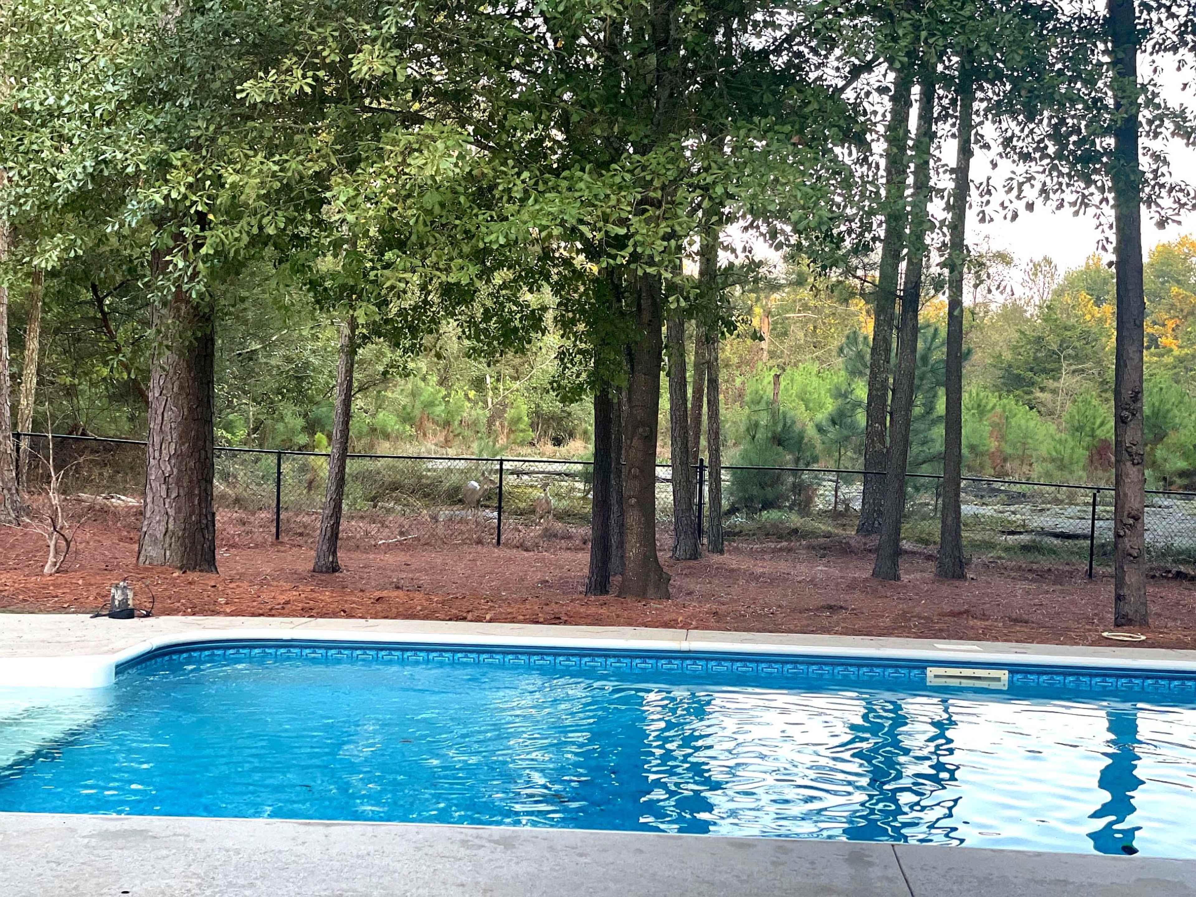 A clear swimming pool is situated in a wooded area, bordered by trees and a wire fence.