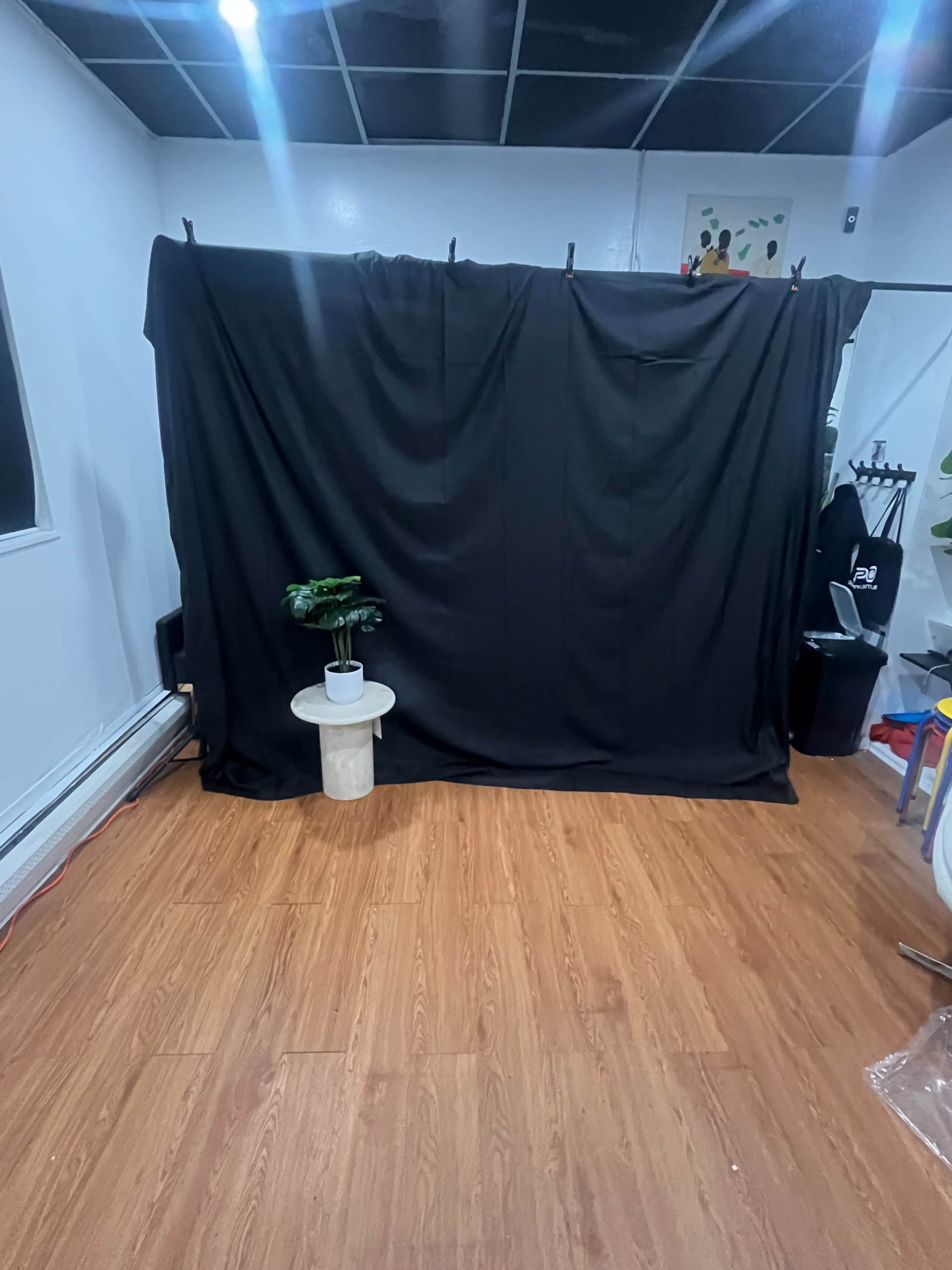 The image shows a room with a black curtain hanging on a wall, a small potted plant on a pedestal, and wooden flooring.