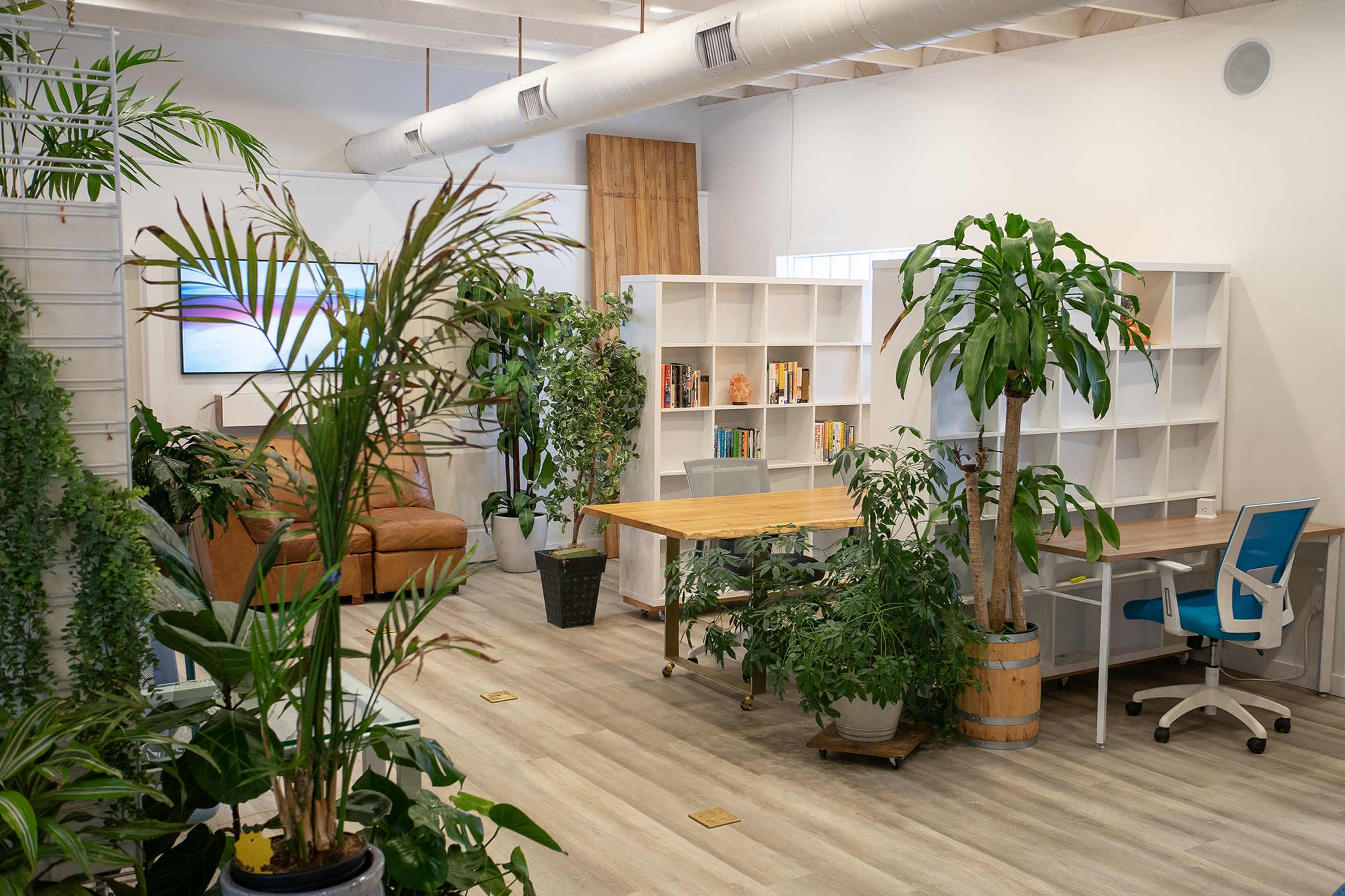 Sustainable Co-Working + Events Space Image in Ocean City, Ocean City, NJ