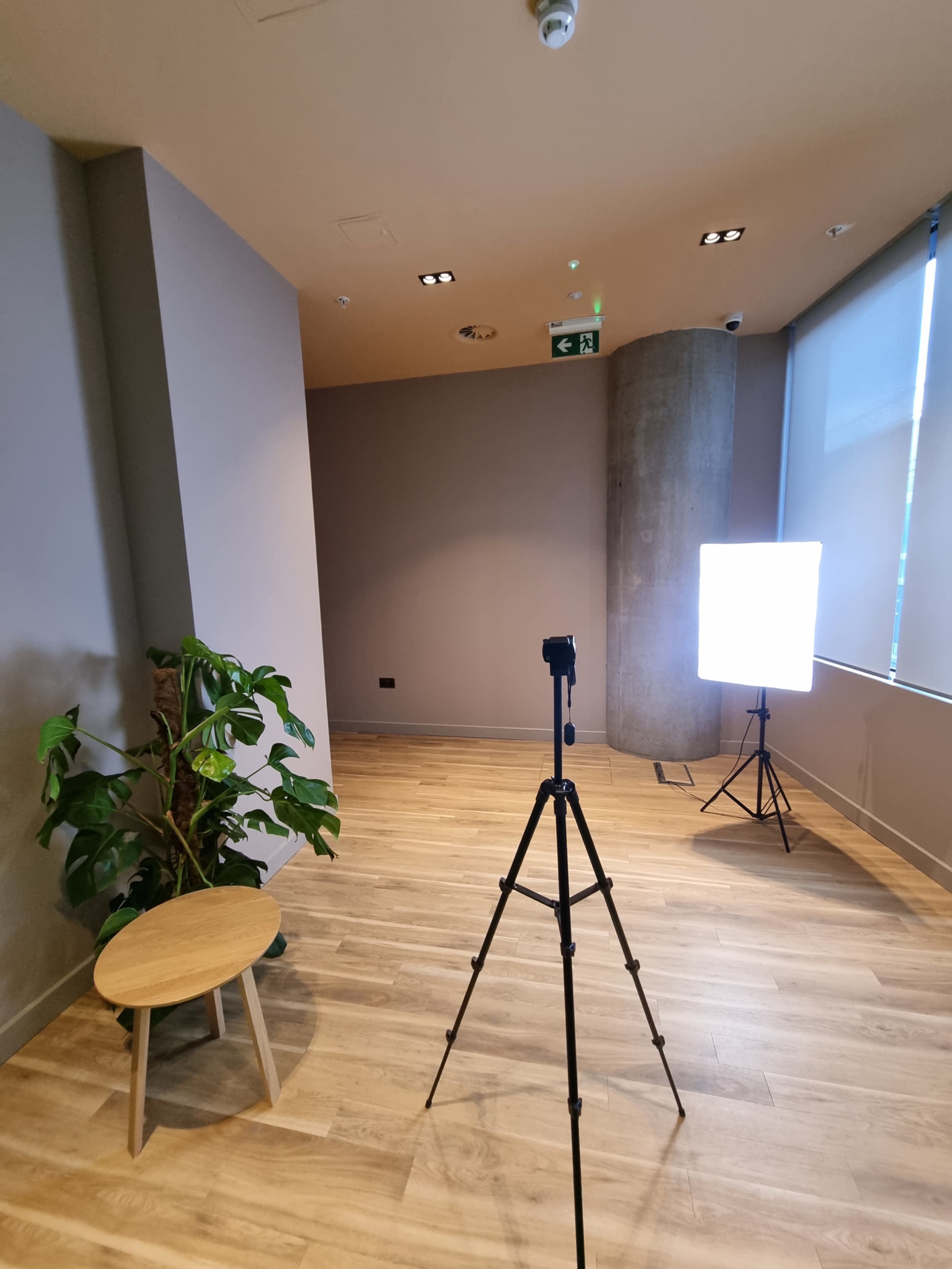 An interior space with a tripod camera, a softbox light, a small wooden table, and a potted plant on a wooden floor.