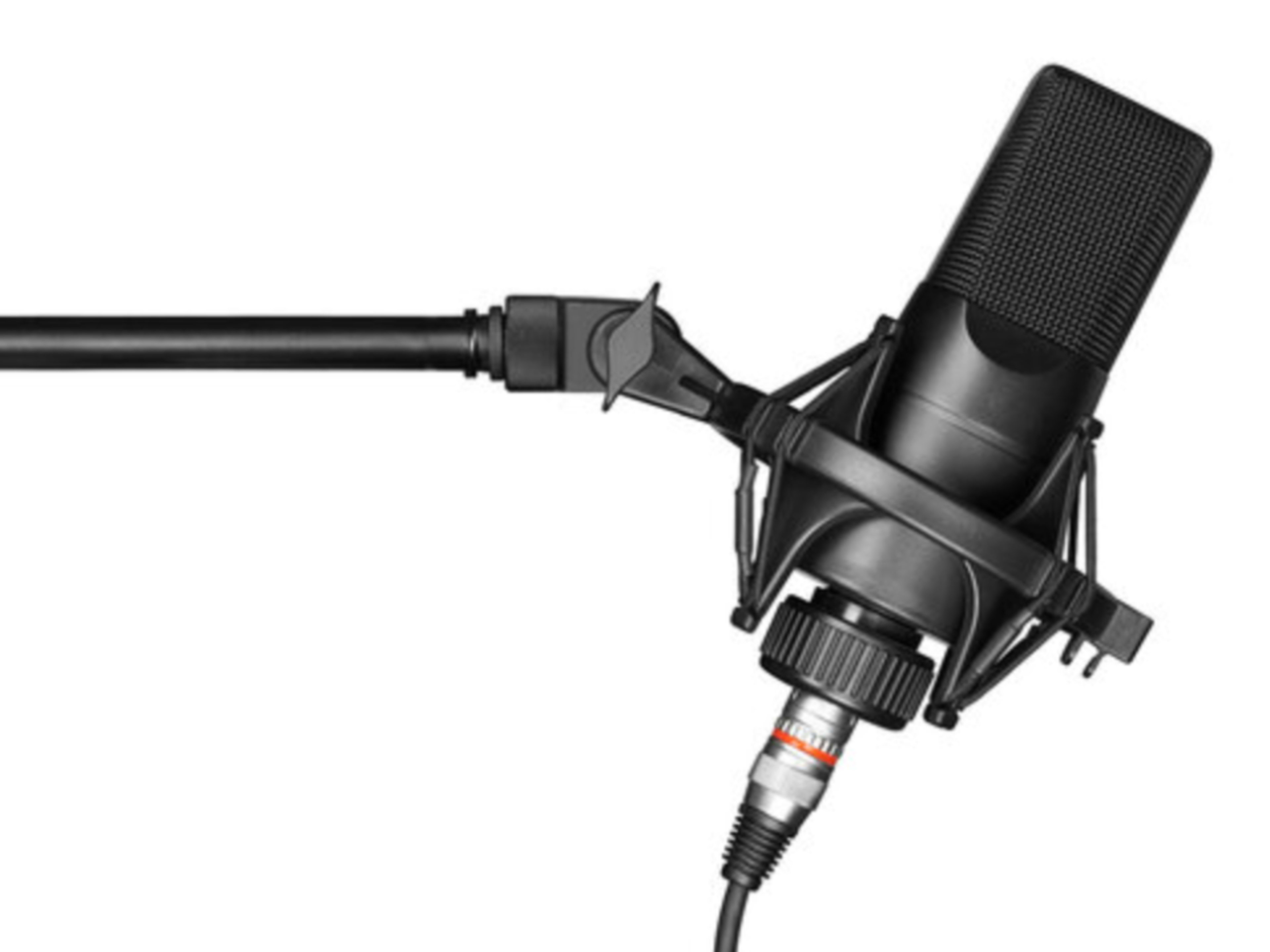 Additional Podcast Microphone