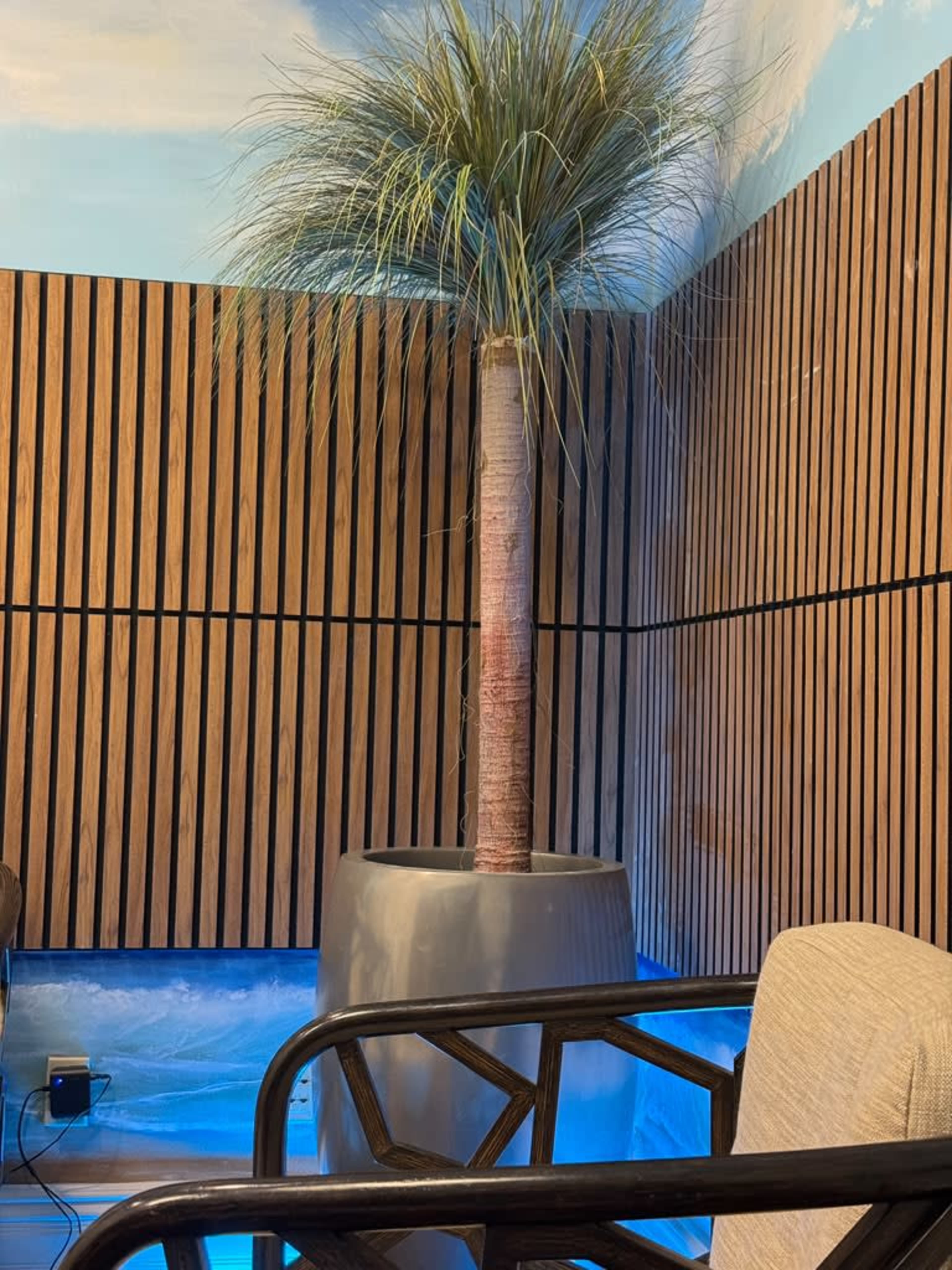 The image shows a tall indoor plant in a gray pot positioned against a wooden-paneled wall with blue lighting.