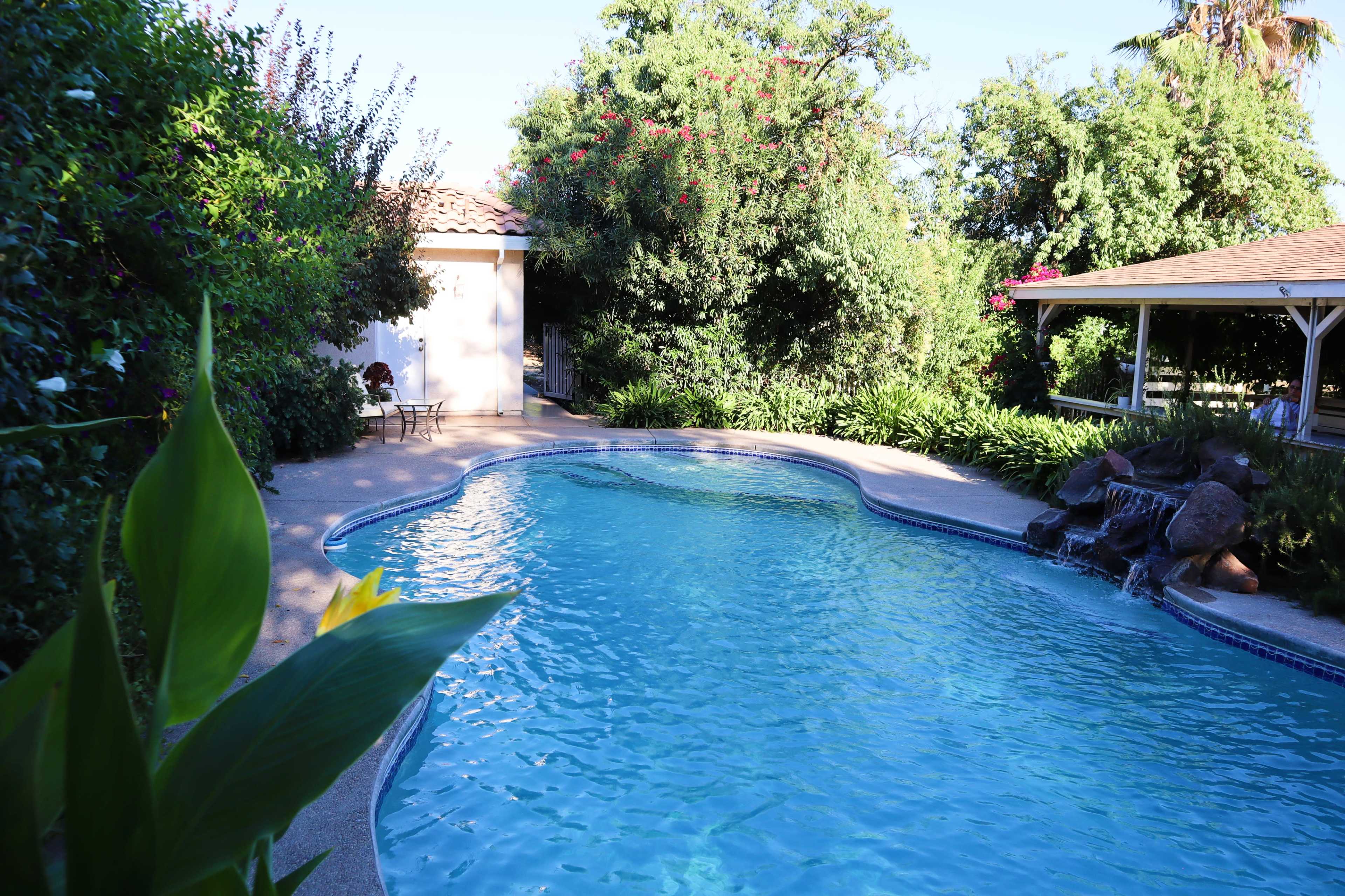 A clear blue swimming pool is surrounded by lush greenery and a stone waterfall, with a patio area and a small building in the background.