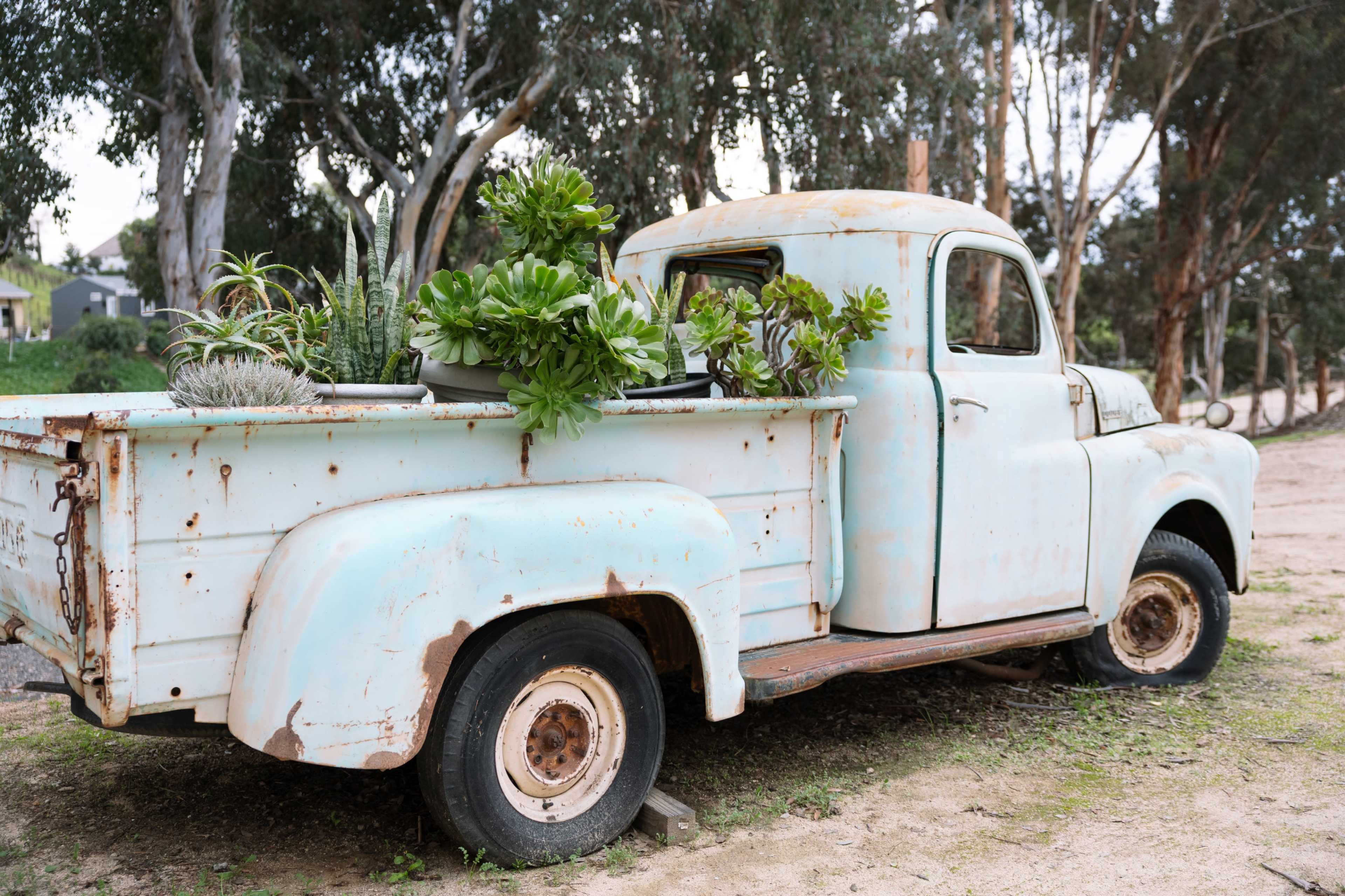 An old, rusty pickup truck is parked in a grassy area, with various potted plants arranged in the bed.