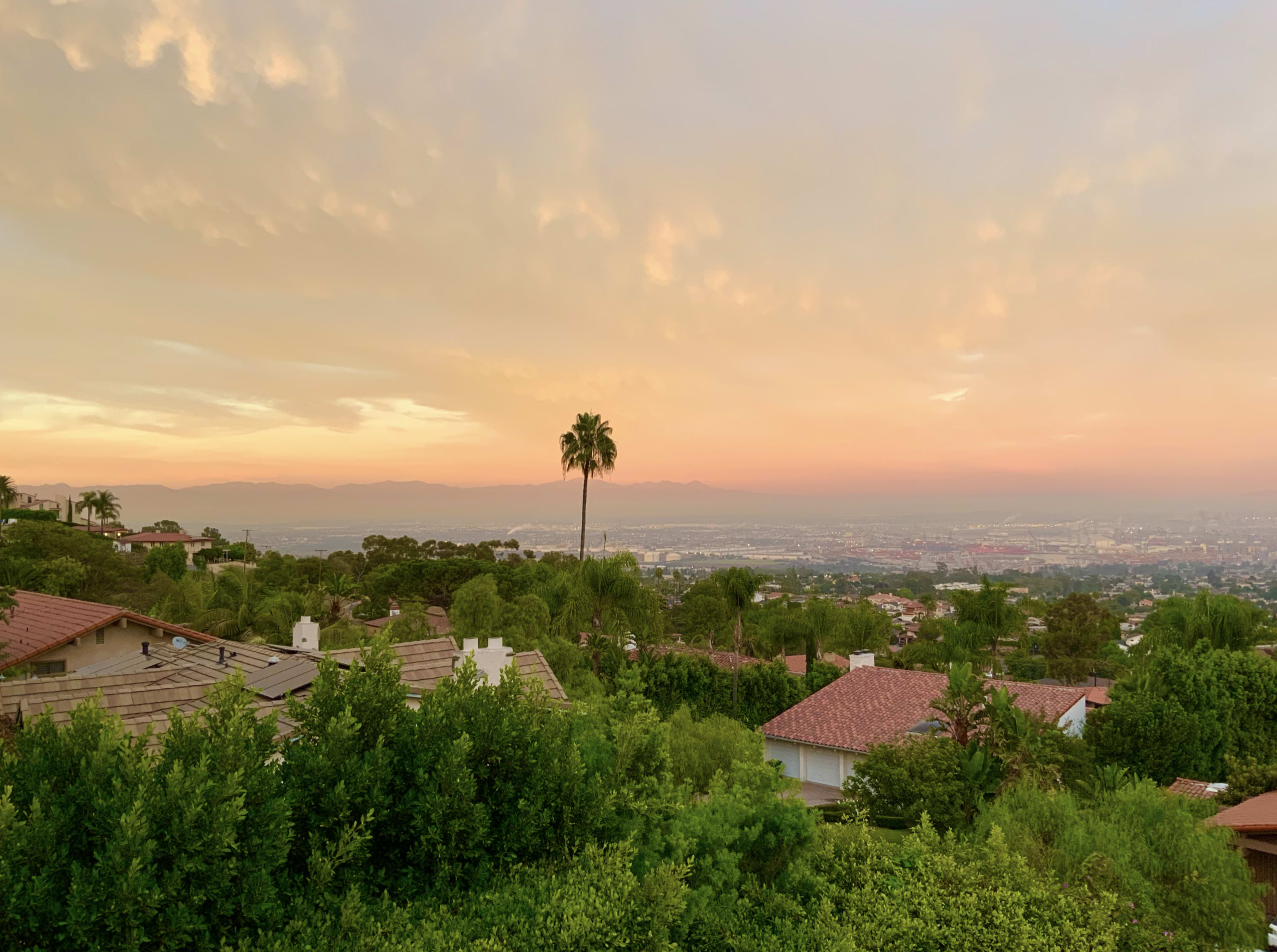 A view of a suburban landscape at sunset, with lush greenery and rooftops in the foreground and mountains in the distance.