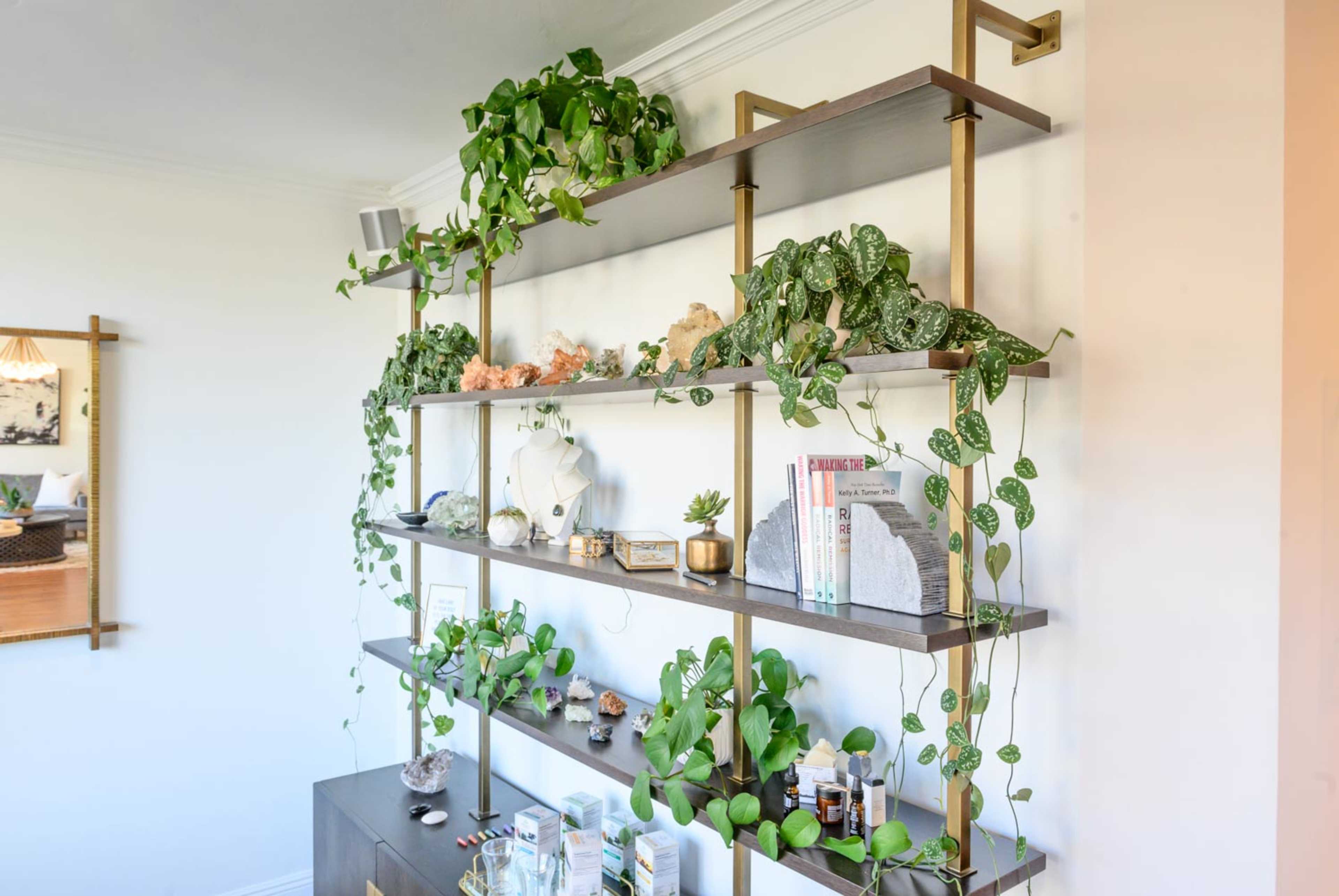 A wall-mounted shelving unit with potted plants, decorative items, and books is displayed against a light-colored wall.