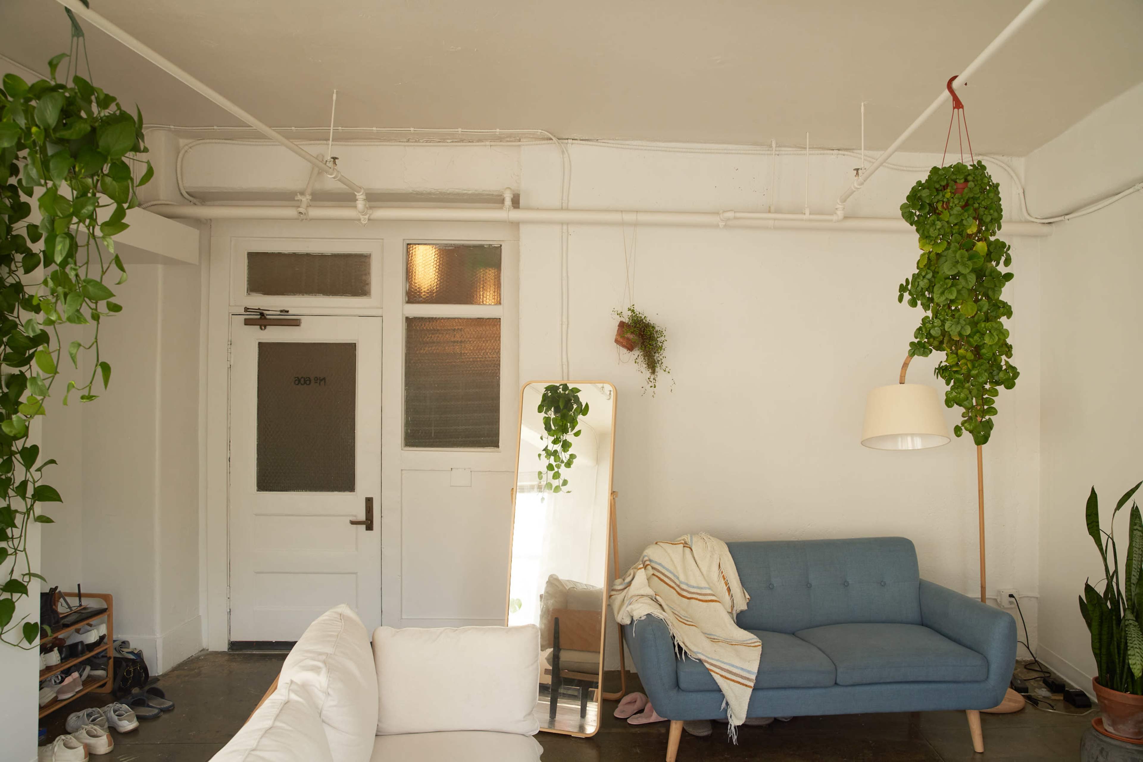 The image shows a bright, minimalist room featuring a blue sofa, a tall mirror, and hanging plants, with shoes arranged near the entrance.
